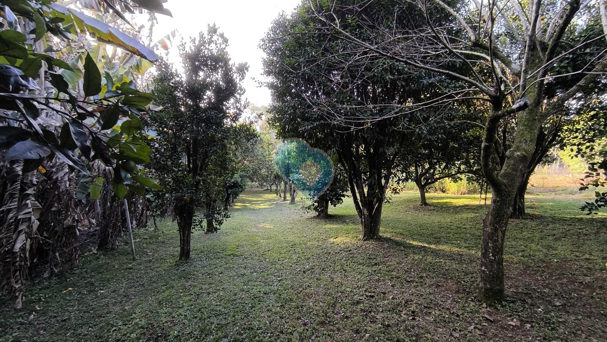 Chácara em Linha Áustria, Linha Santa Cruz, Santa Cruz do Sul - RS