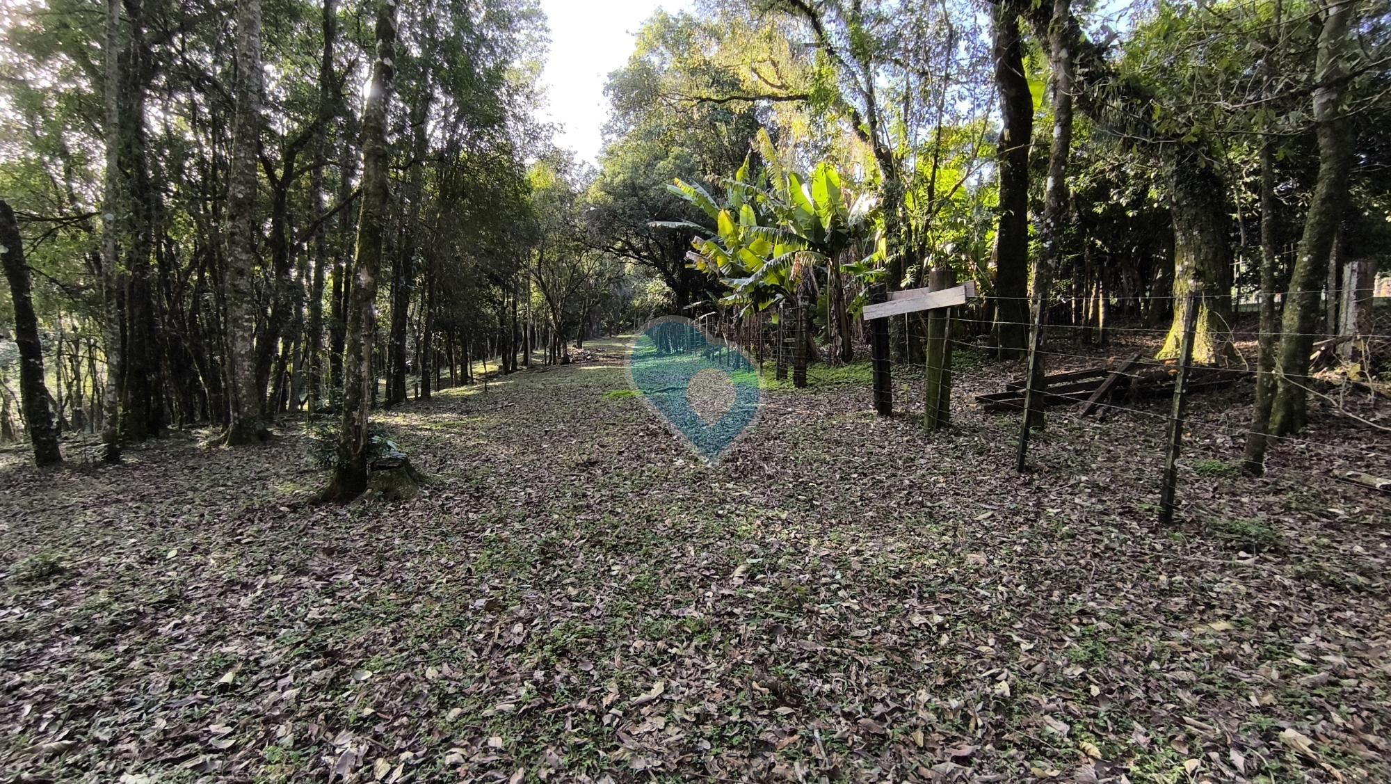 Chácara em Linha Áustria, Linha Santa Cruz, Santa Cruz do Sul - RS