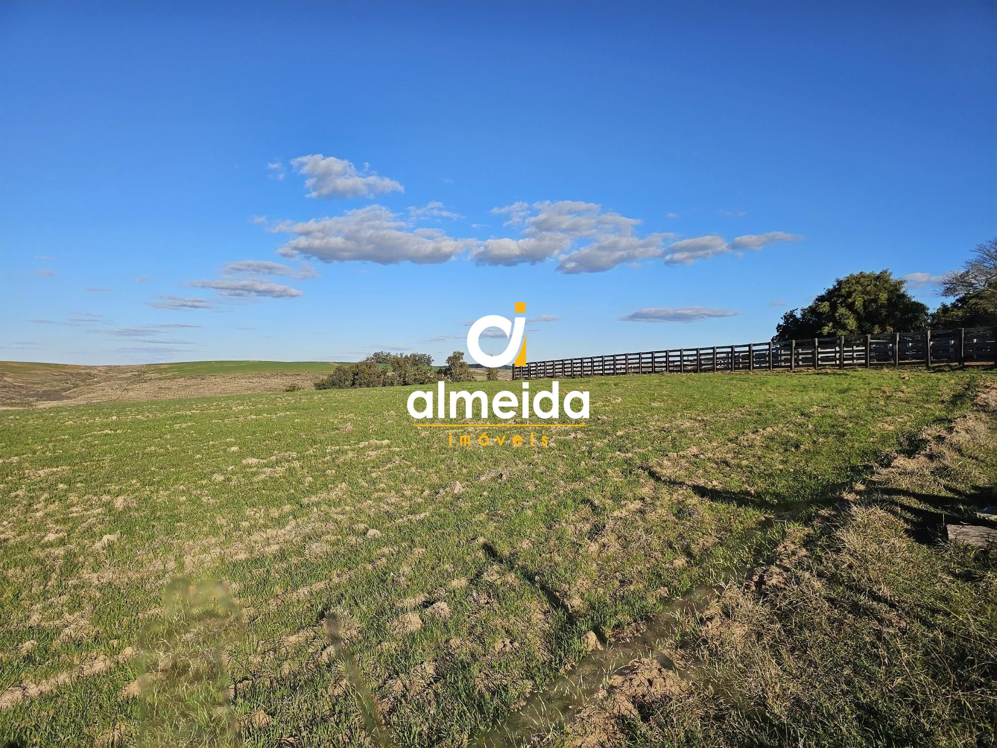 Campo à venda zona rural rosário do sul/rs