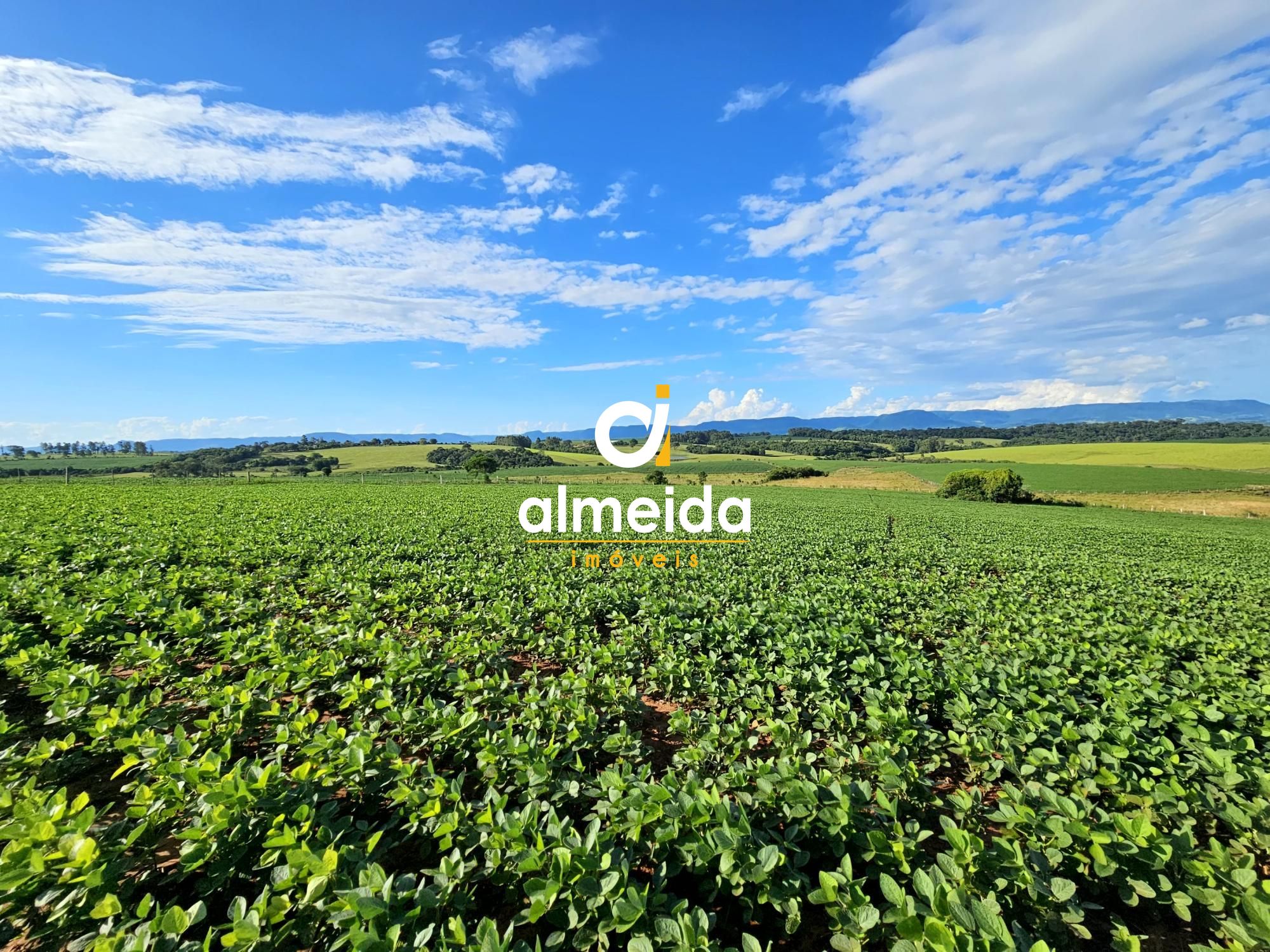 Área agricultável: 15 hectares em lavoura de soja, em plena 