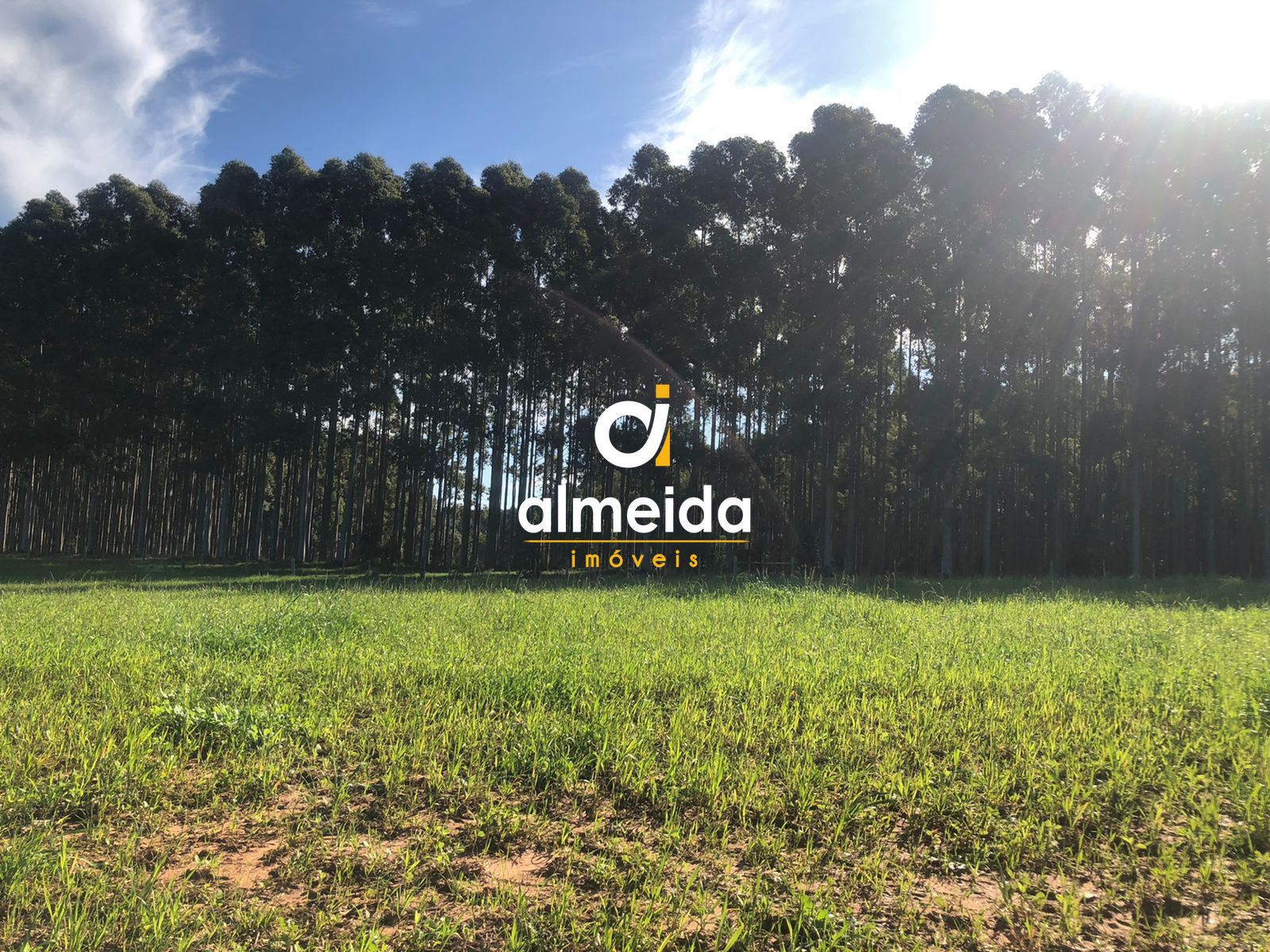 Loteamento e Condomínio, 5380000 hectares - Foto 45