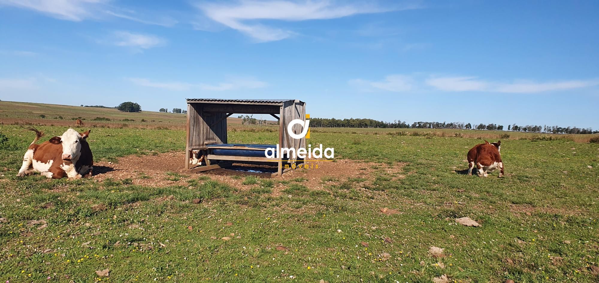 Loteamento e Condomínio à venda, 54700000000m² - Foto 50