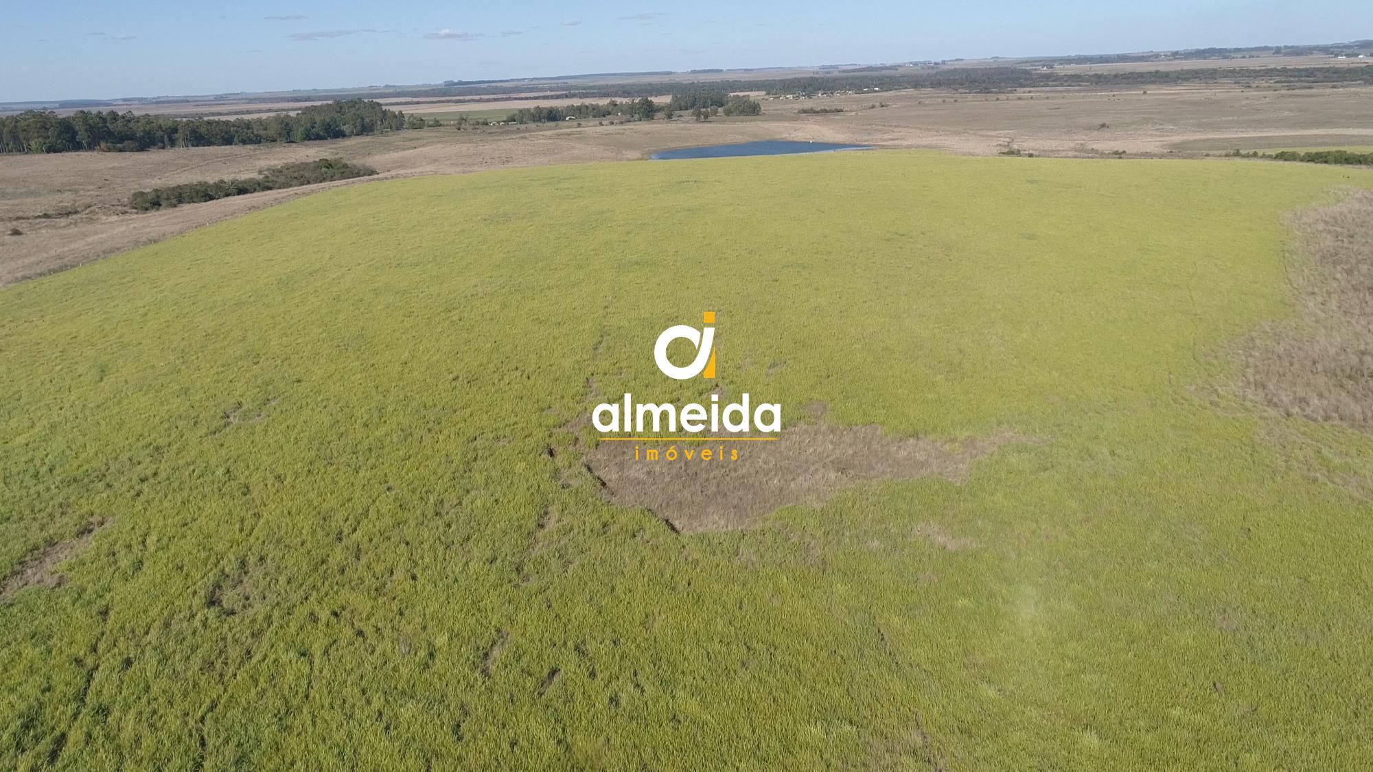 446 ha a venda município de são vicente do sul