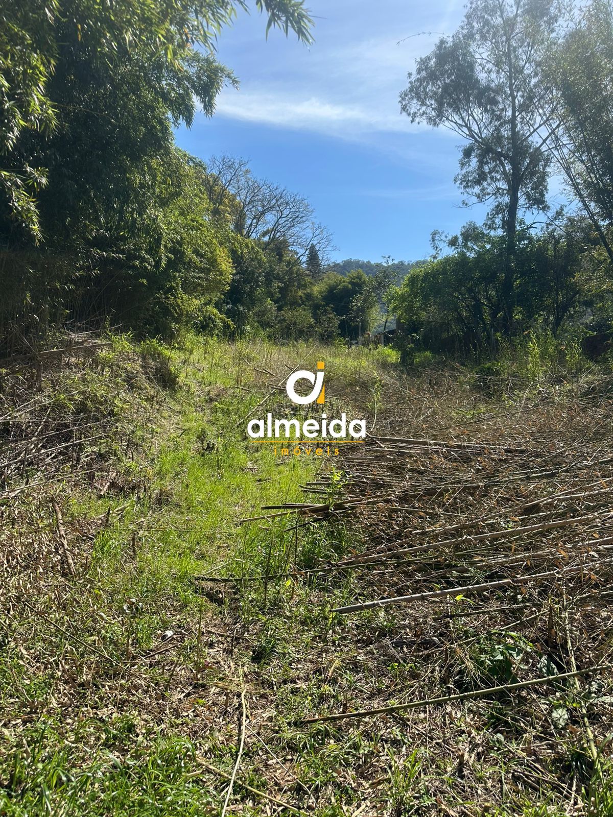 Terreno à venda nossa senhora do perpétuo socorro santa mari