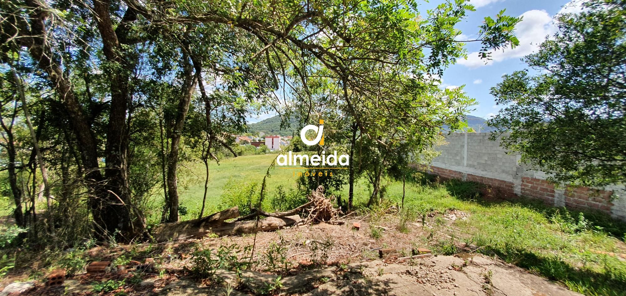 Terreno à venda, 6000m² - Foto 16