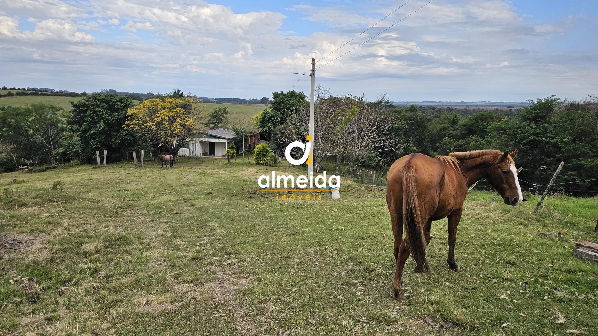 Fazenda à venda com 2 quartos, 120000000m² - Foto 38