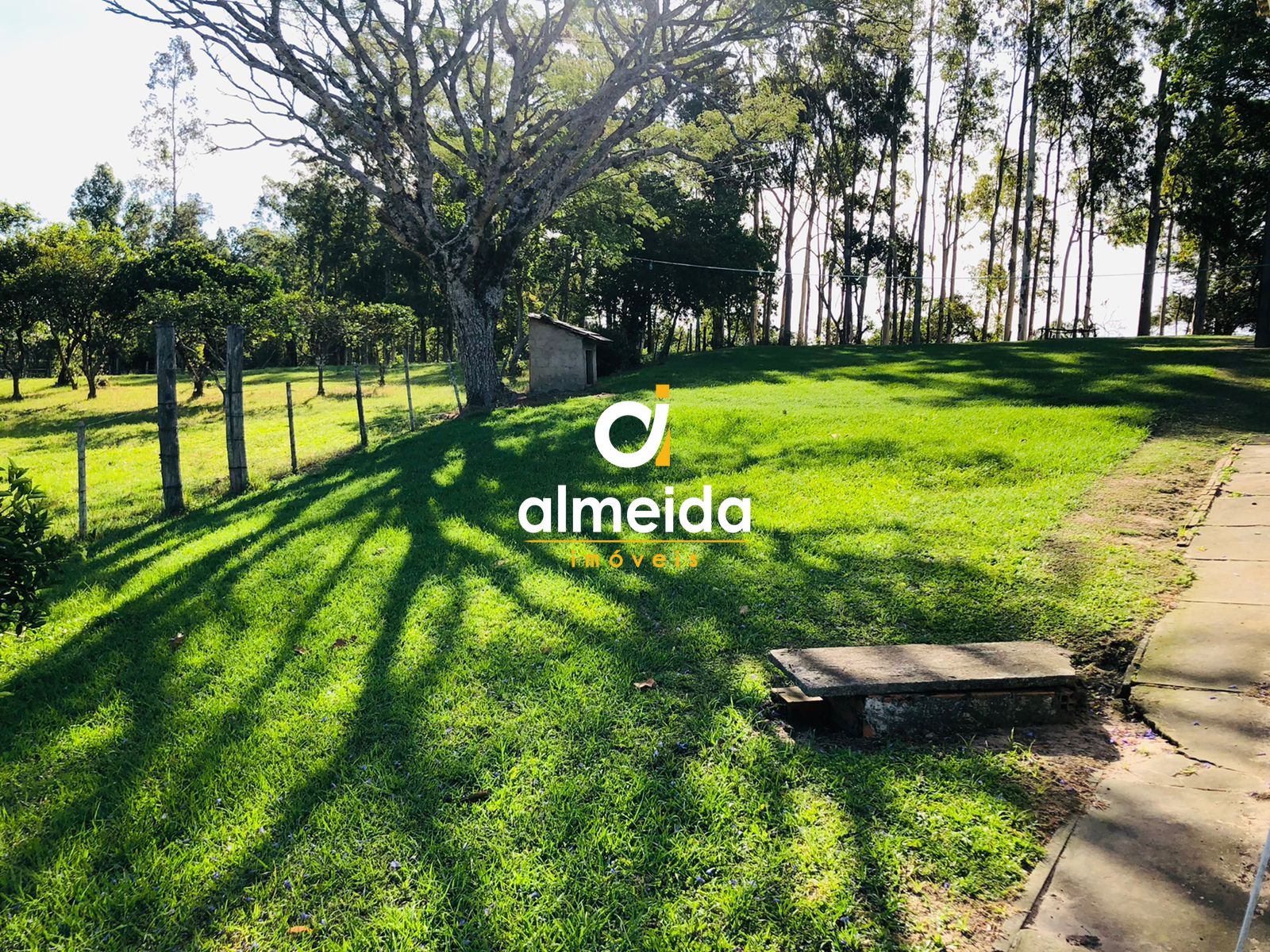 Fazenda à venda com 2 quartos, 200000000m² - Foto 25