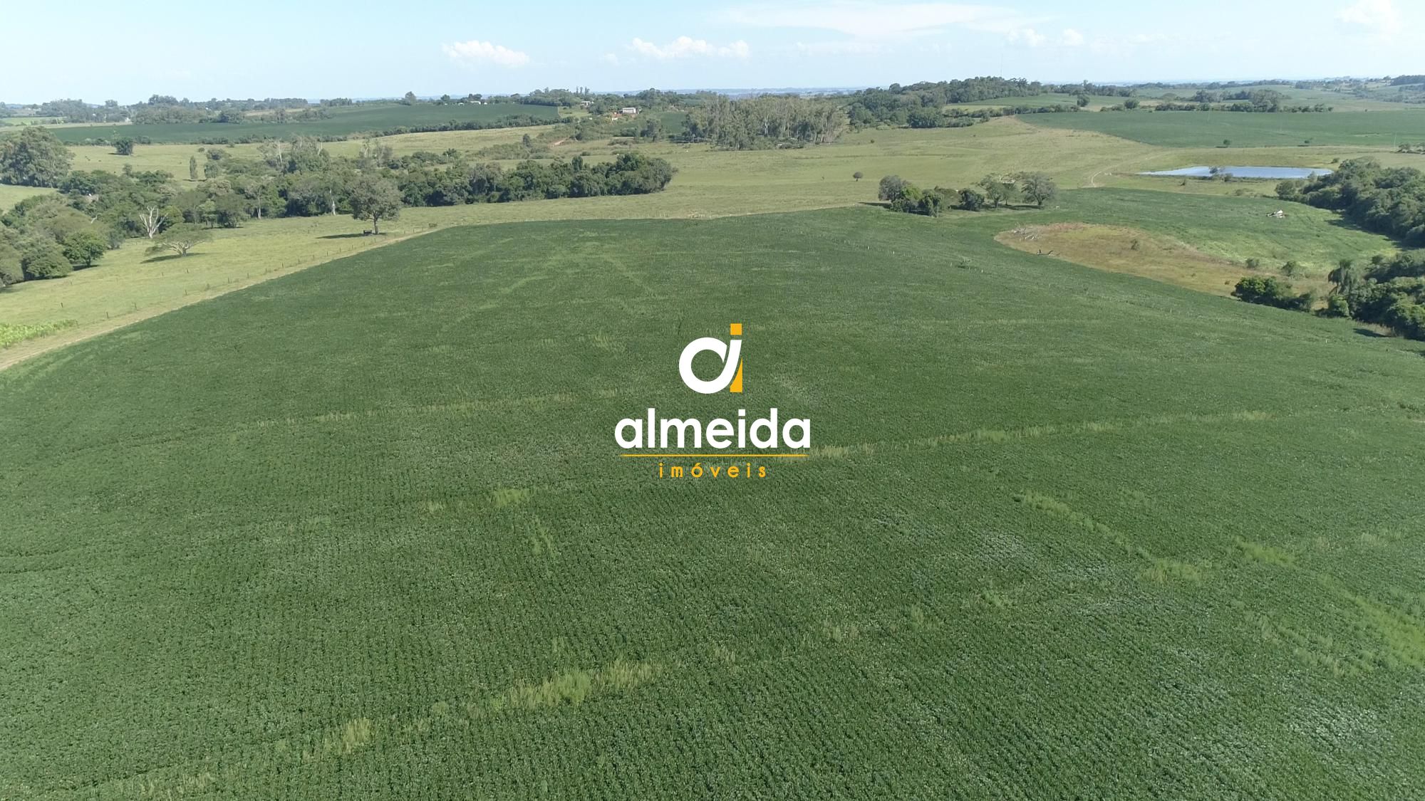 Área agricultável: 27 hectares de lavoura de soja, em plena 