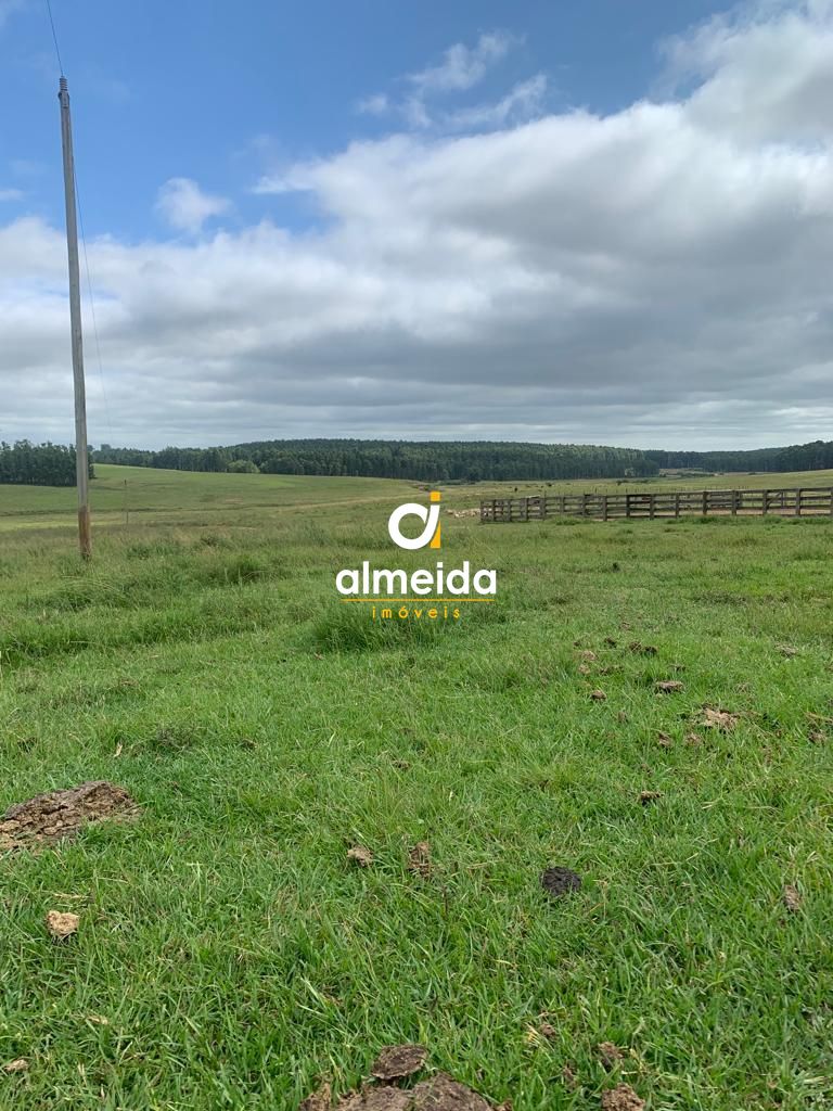 Campo à venda centro rosário do sul/rs - foto 5