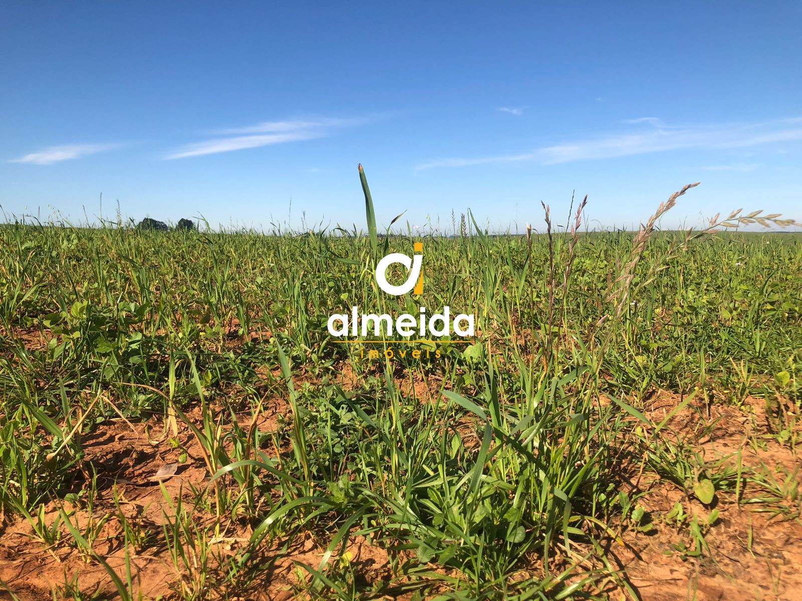 Loteamento e Condomínio, 5380000 hectares - Foto 52