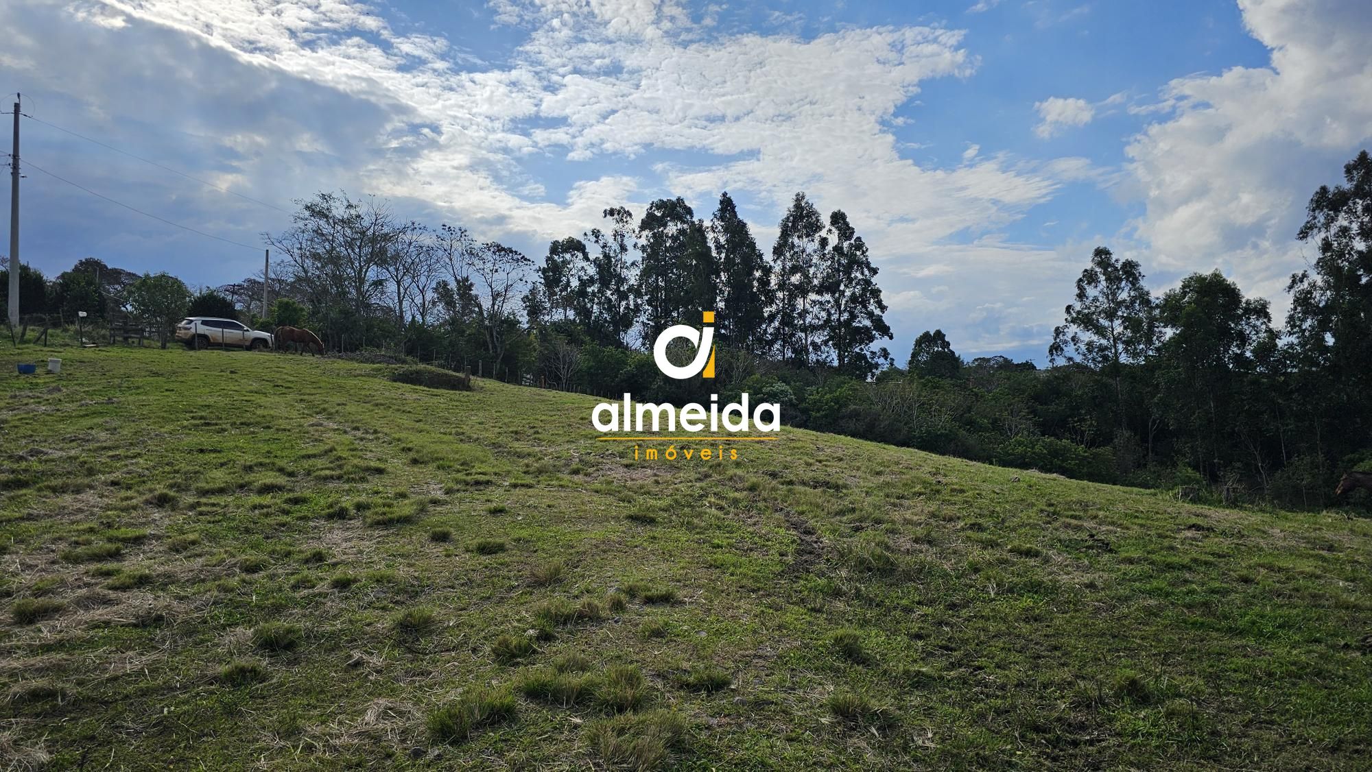 Fazenda à venda com 2 quartos, 120000000m² - Foto 13