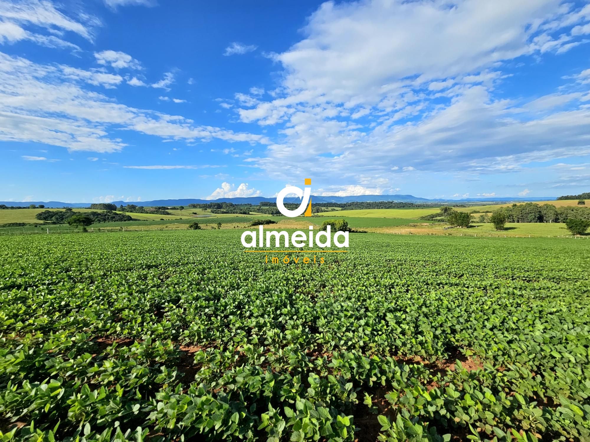 Área agricultável: 15 hectares em lavoura de soja, em plena 