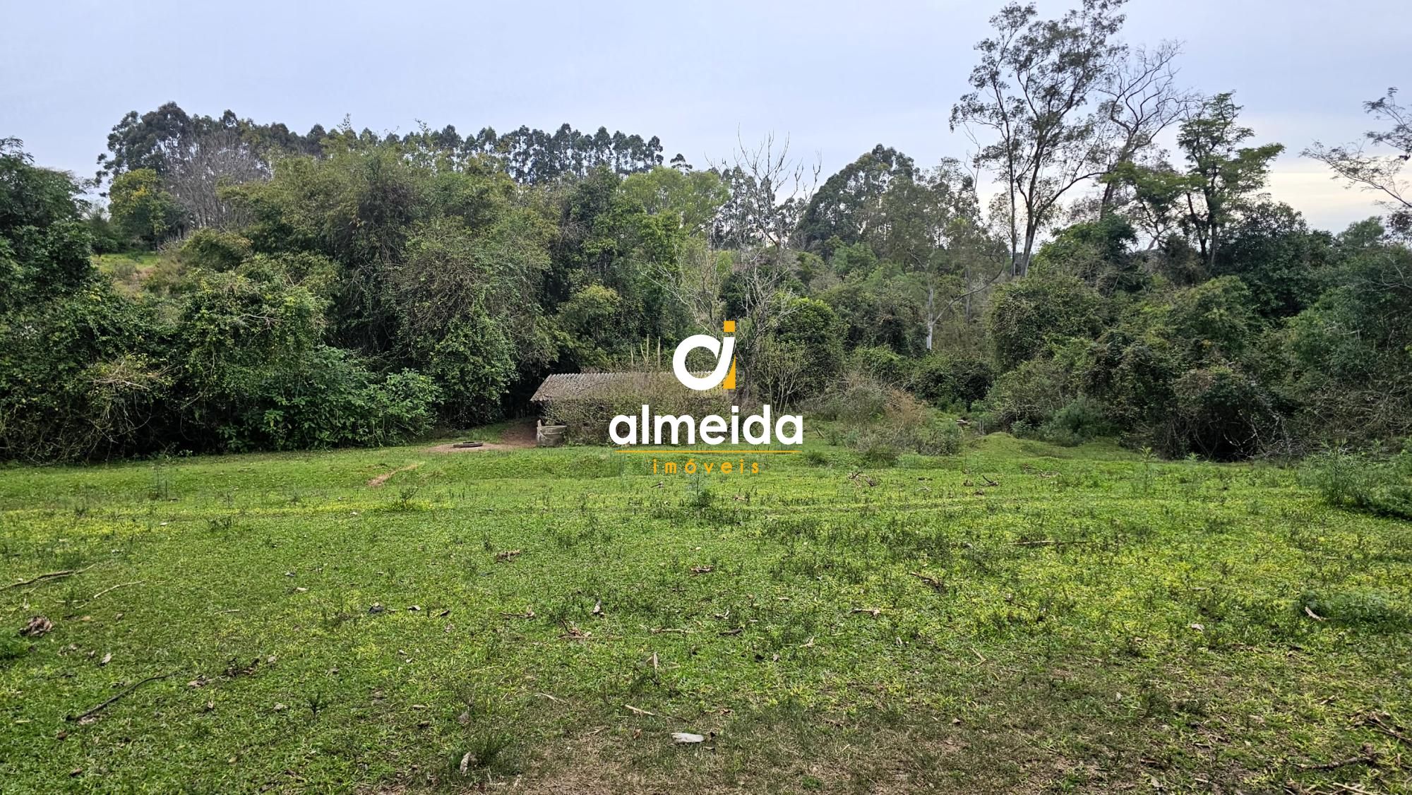 Fazenda/sítio/chácara/haras com 3 Dormitórios à venda, 100.000 m² por R$ 700.000,00 Fazenda/sítio/chácara/haras com 3 Dormitórios à venda, 100.000 m² por R$ 700.000,00