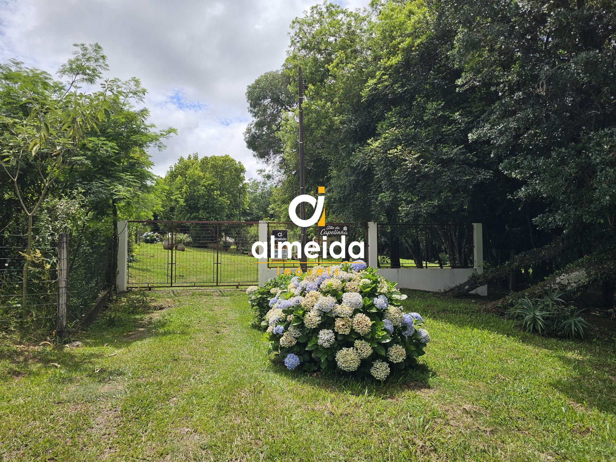 Fazenda/sítio/chácara/haras à venda  no Centro - Sao Martinho da Serra, RS. Imóveis