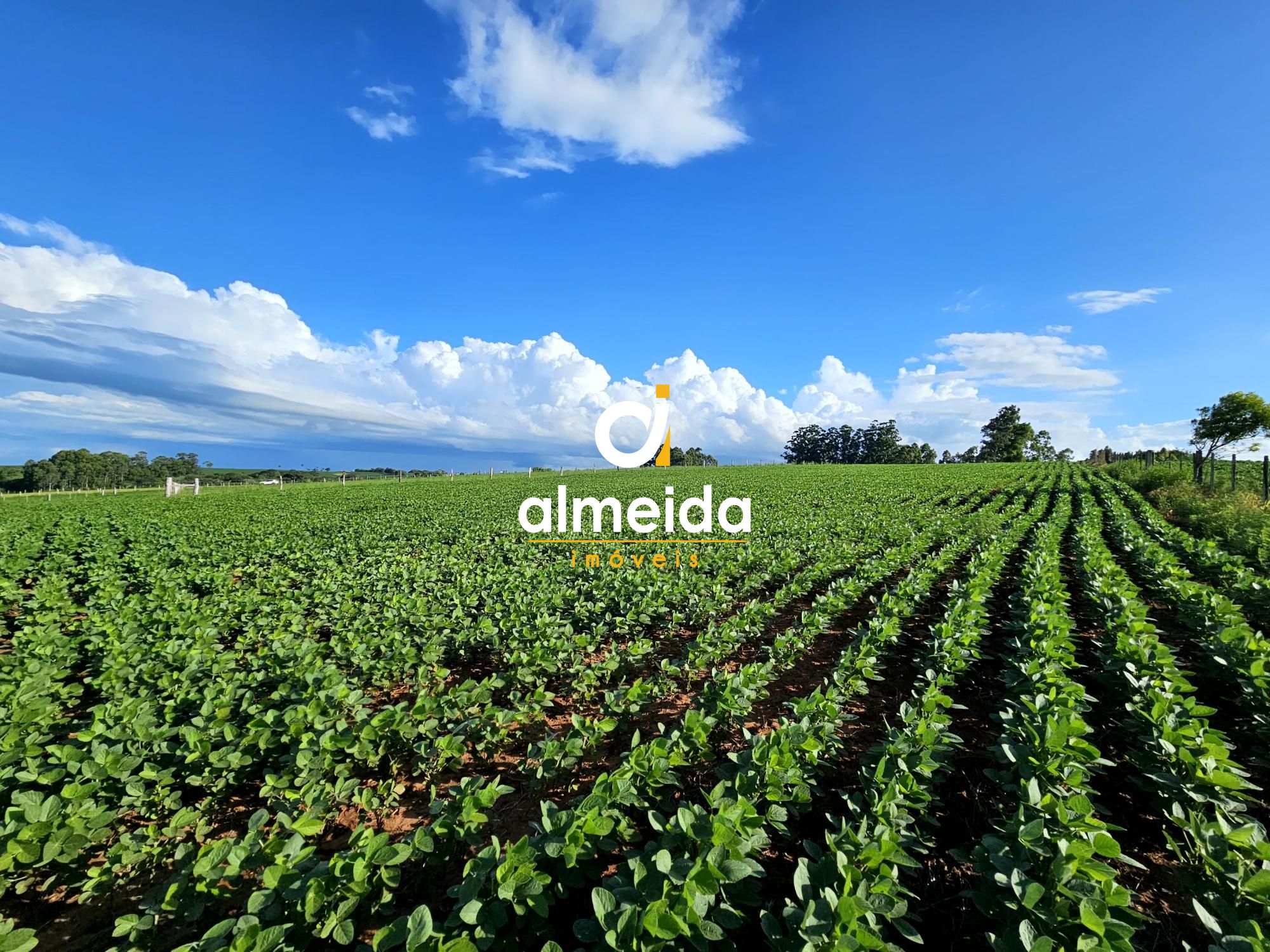 Fazenda/sítio/chácara/haras à venda  no Arroio do Só - Santa Maria, RS. Imóveis
