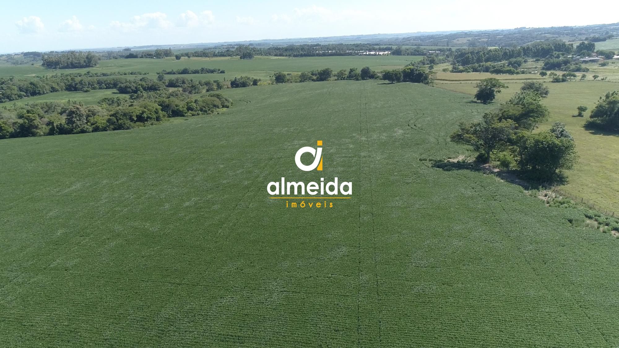 Área agricultável: 27 hectares de lavoura de soja, em plena 