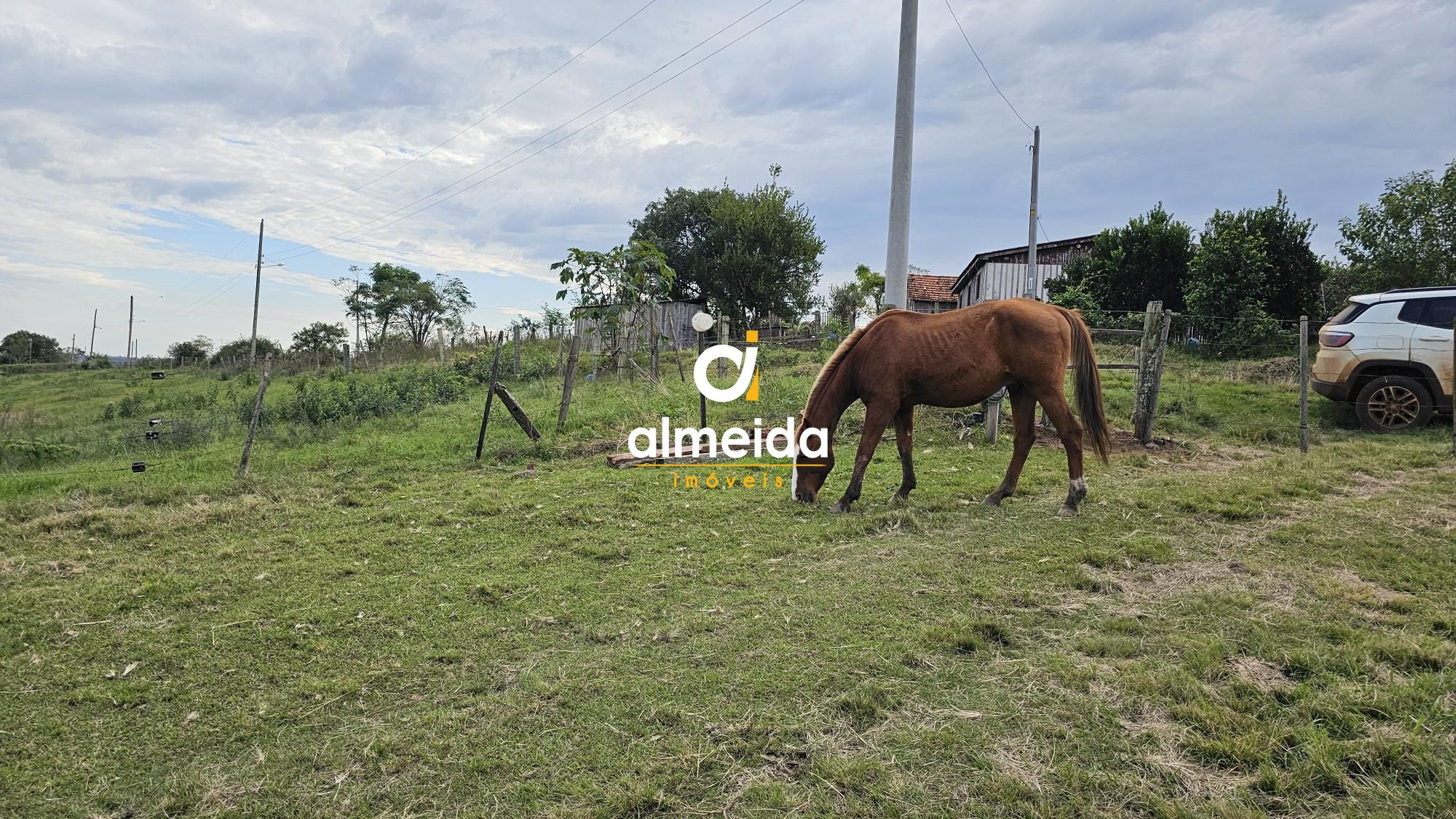 Fazenda à venda com 2 quartos, 120000000m² - Foto 36