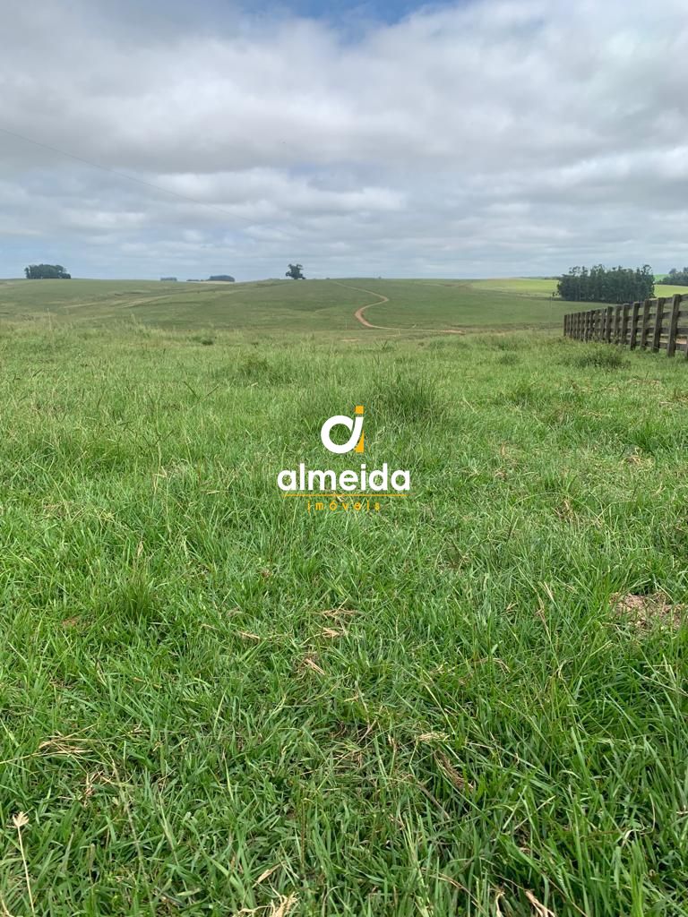 Campo à venda centro rosário do sul/rs - foto 2