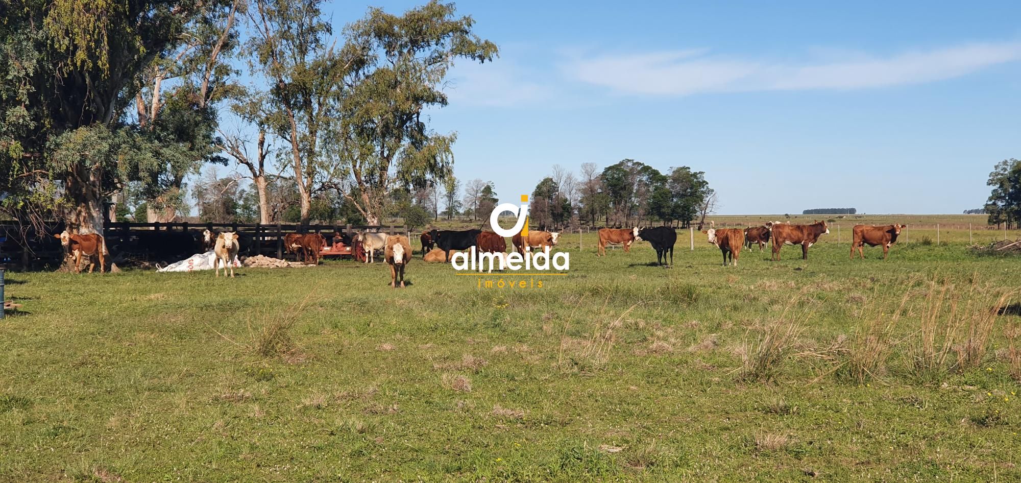 Loteamento e Condomínio à venda, 54700000000m² - Foto 52