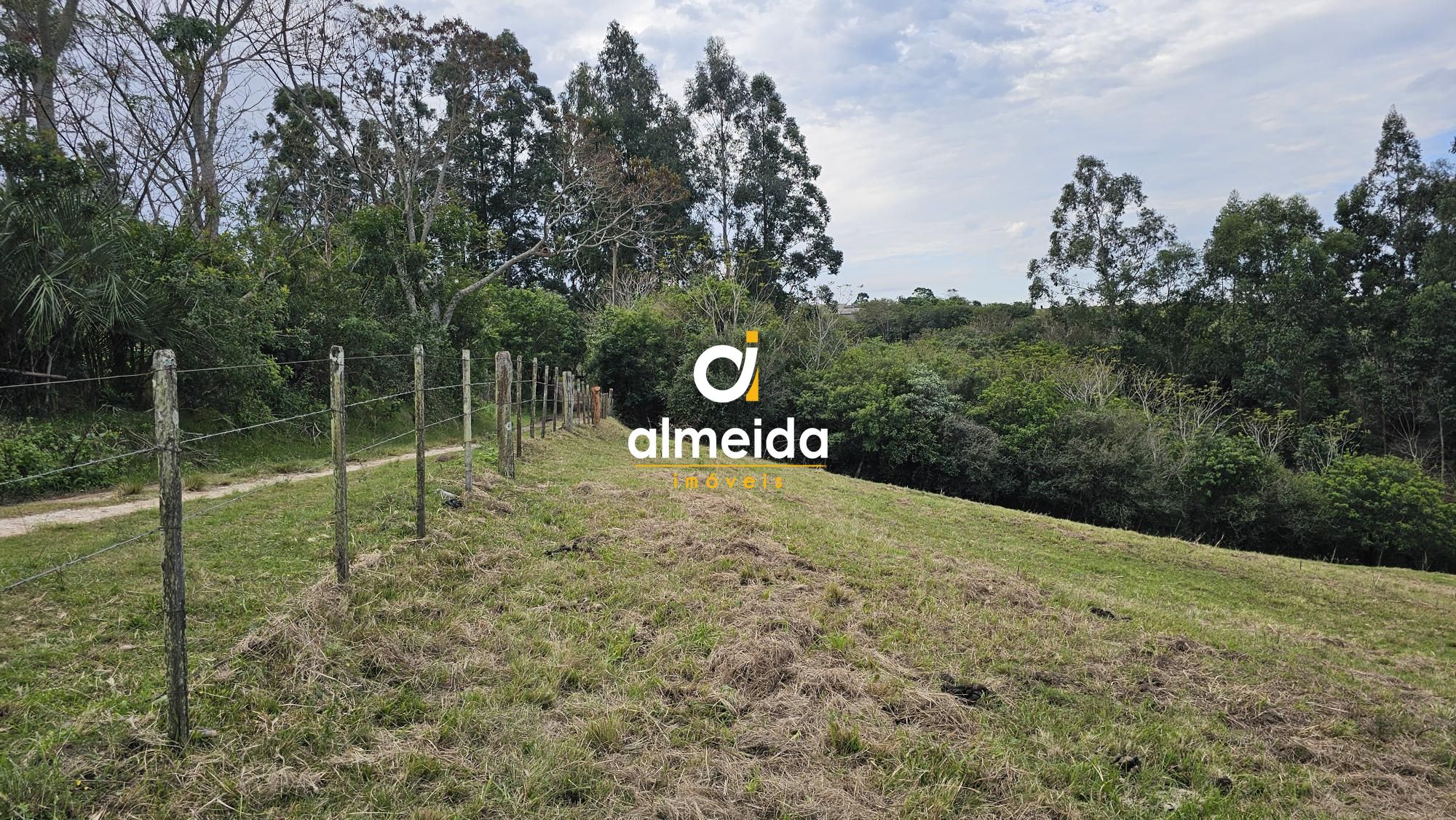 Fazenda à venda com 2 quartos, 120000000m² - Foto 37