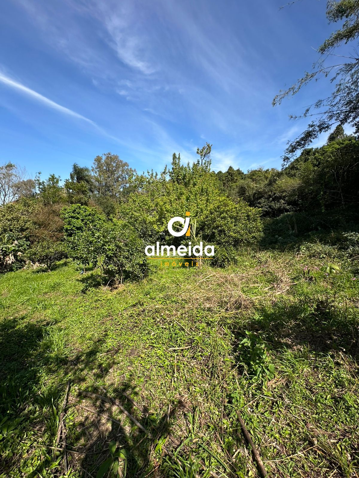 Terreno à venda nossa senhora do perpétuo socorro santa mari