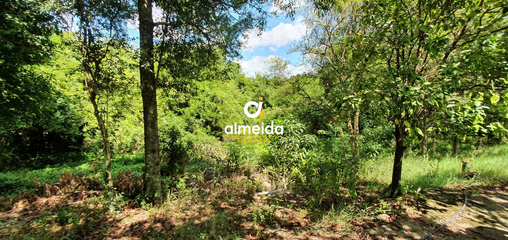 Terreno, 6000 m² - Foto 15