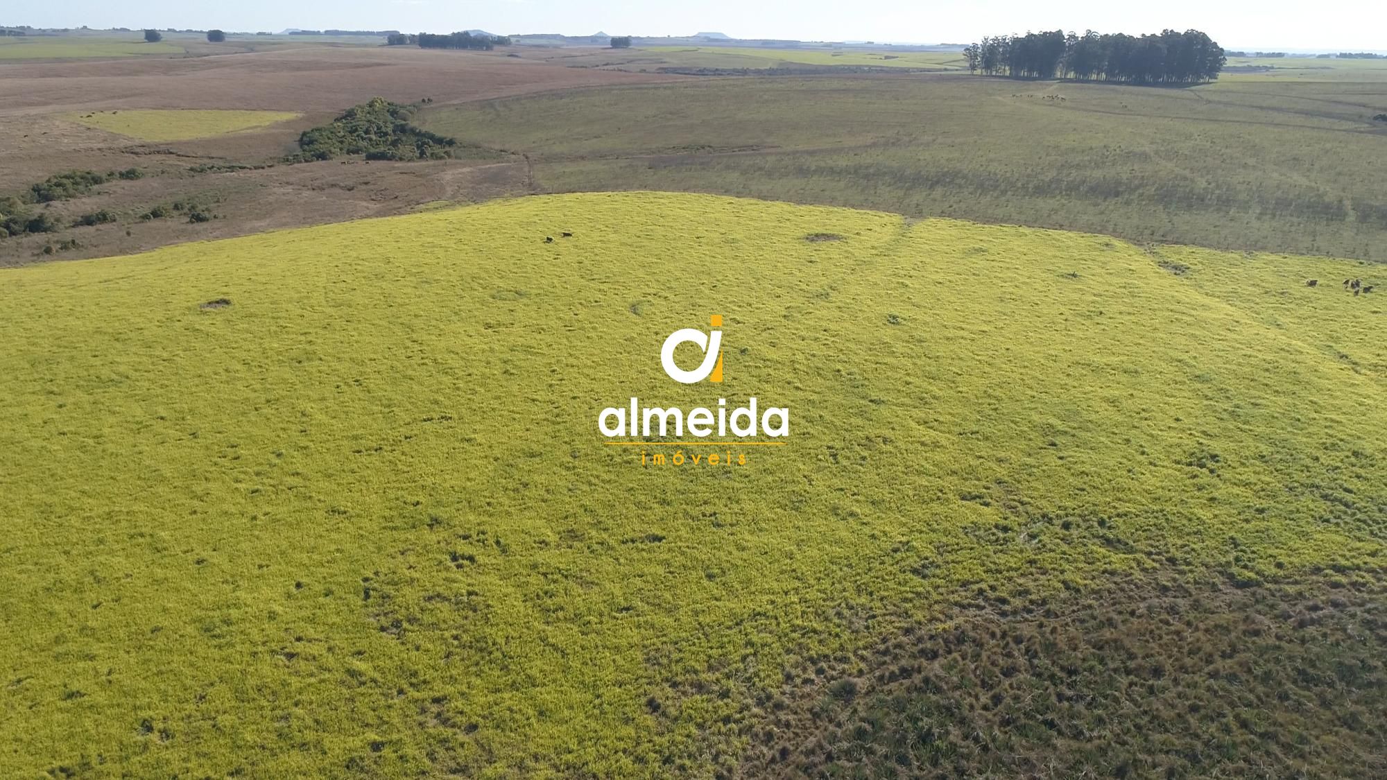 446 ha a venda município de são vicente do sul