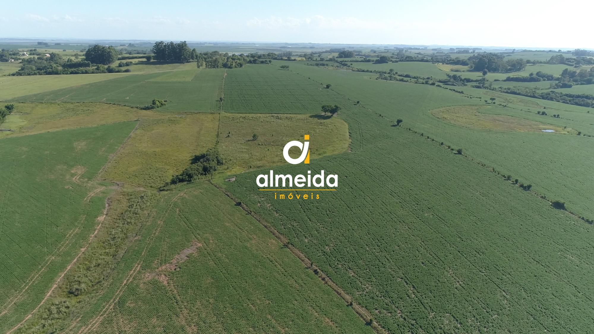 Área agricultável: 29 hectares de lavoura de soja, em plena 