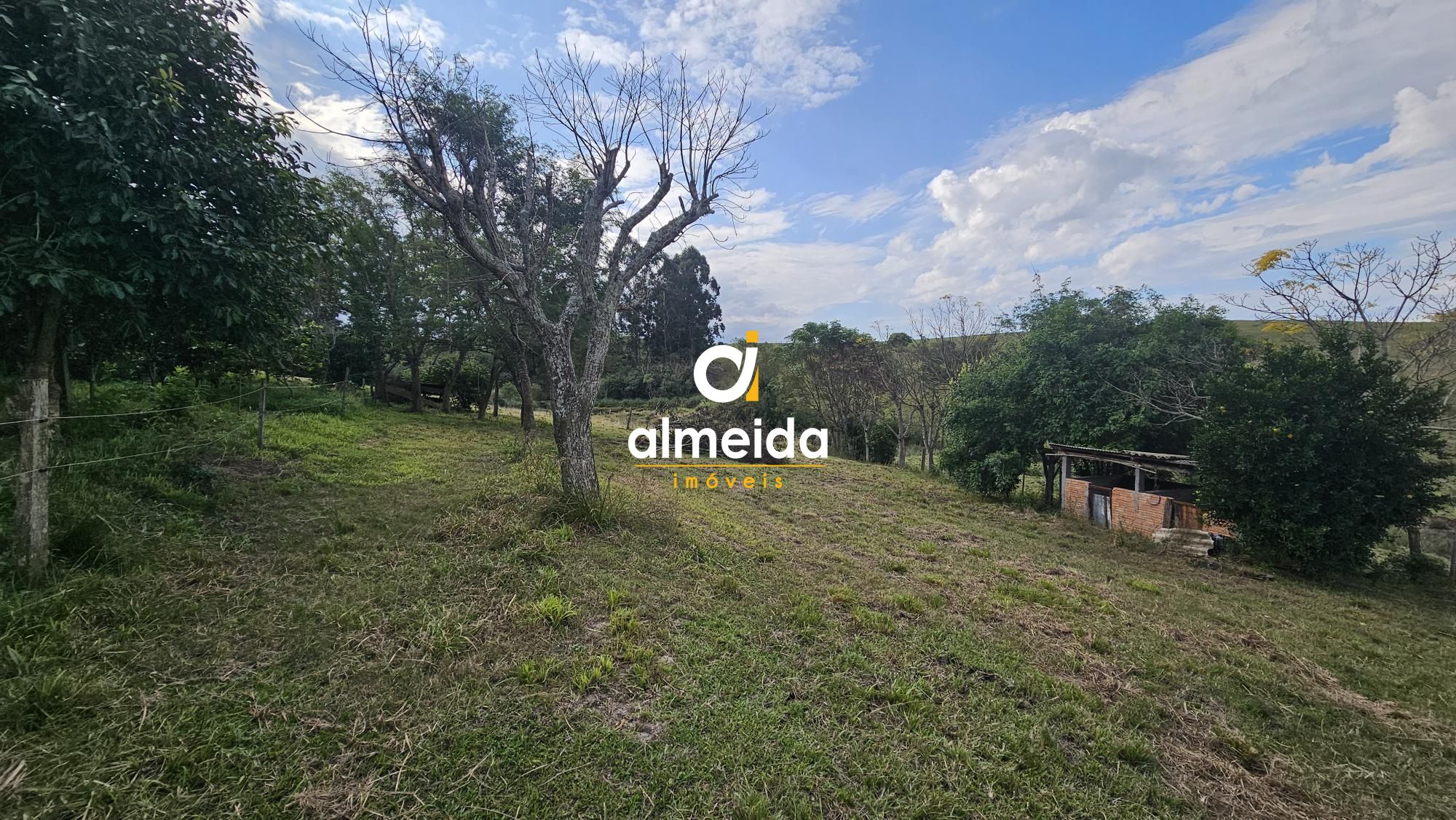 Fazenda à venda com 2 quartos, 120000000m² - Foto 28