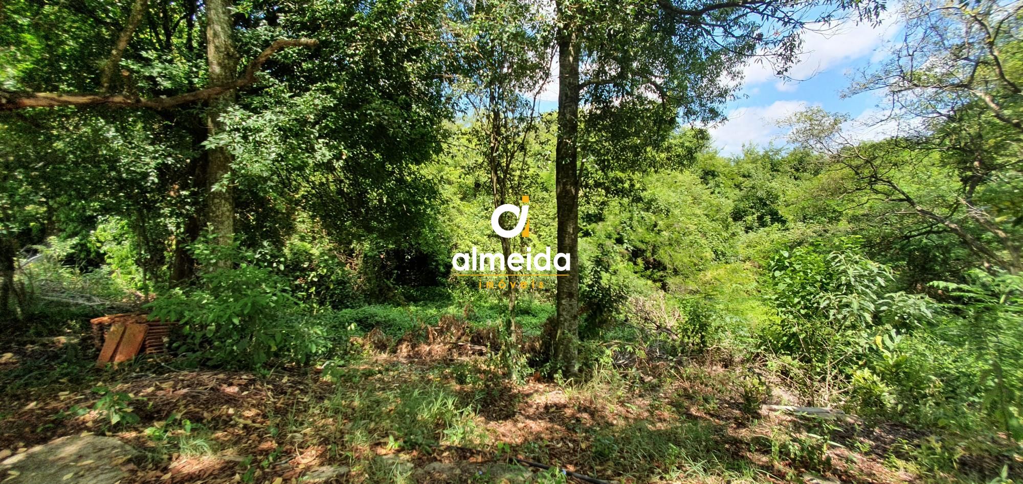 Terreno, 6000 m² - Foto 14