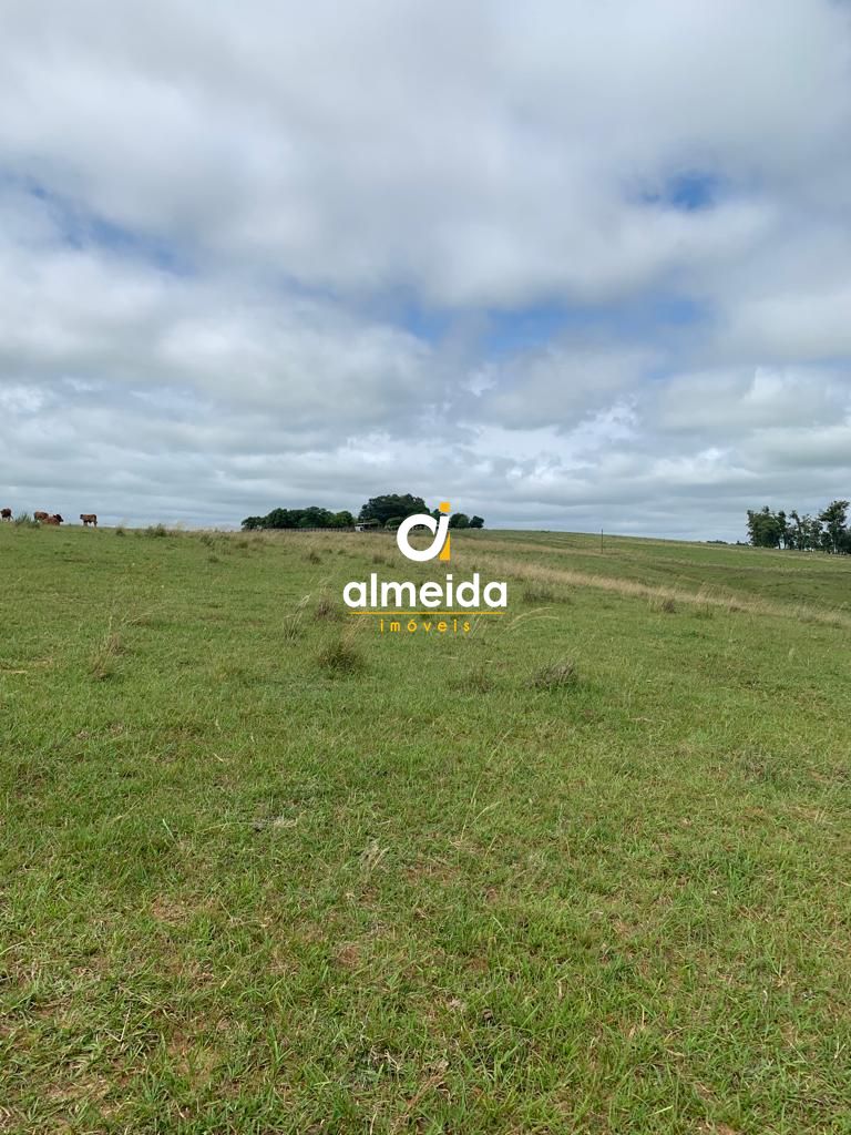 Campo à venda centro rosário do sul/rs - foto 12