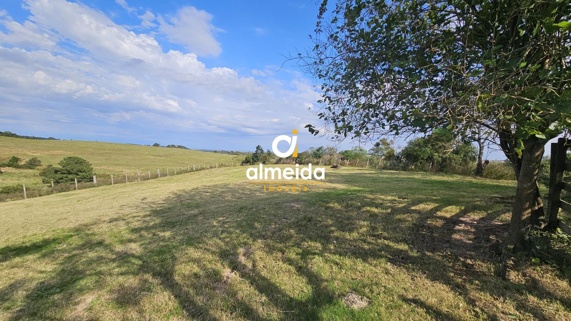 Fazenda à venda com 2 quartos, 120000000m² - Foto 23