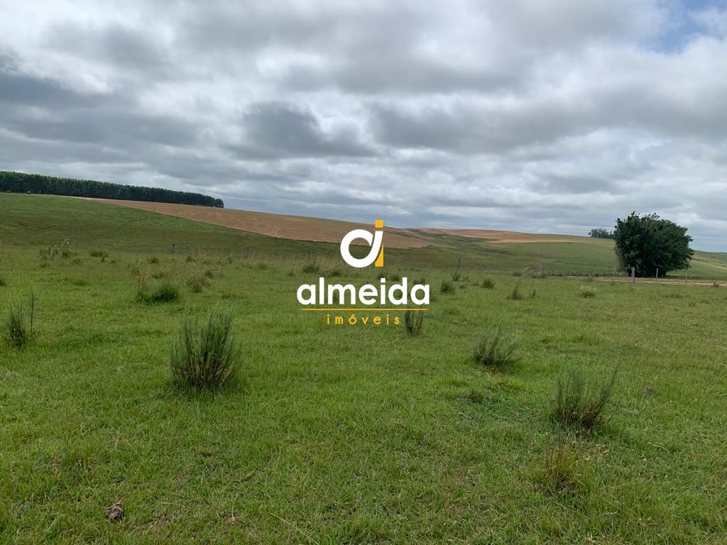 Campo à venda centro rosário do sul/rs - foto 9