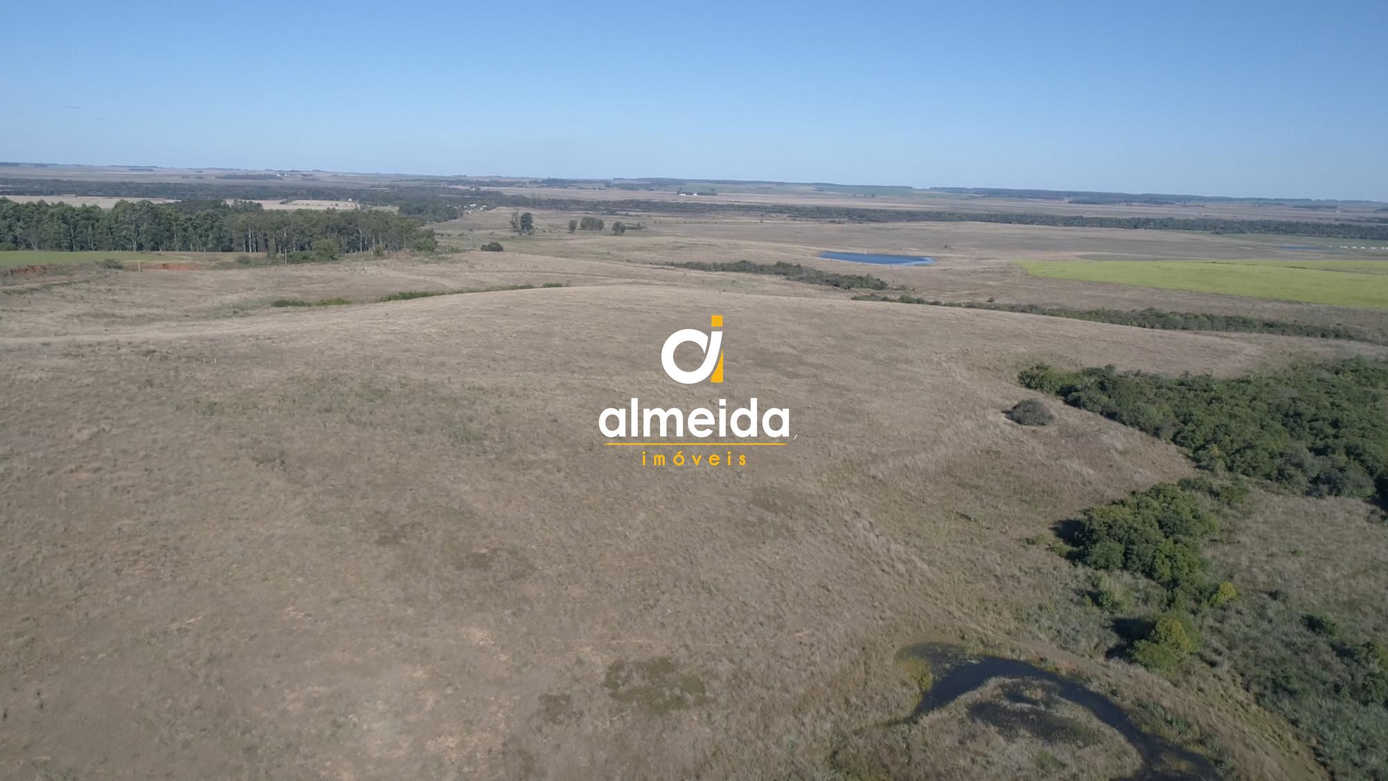 446 ha a venda município de são vicente do sul