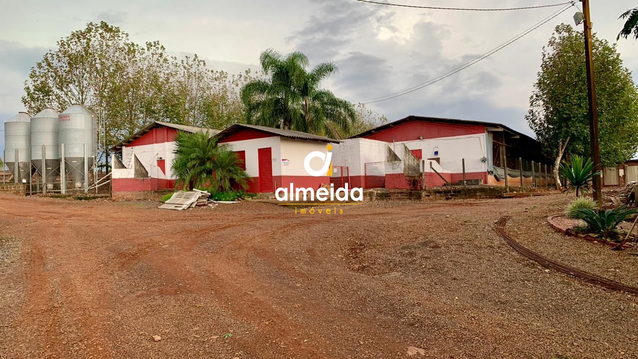 Fazenda à venda com 2 quartos, 200000000m² - Foto 13