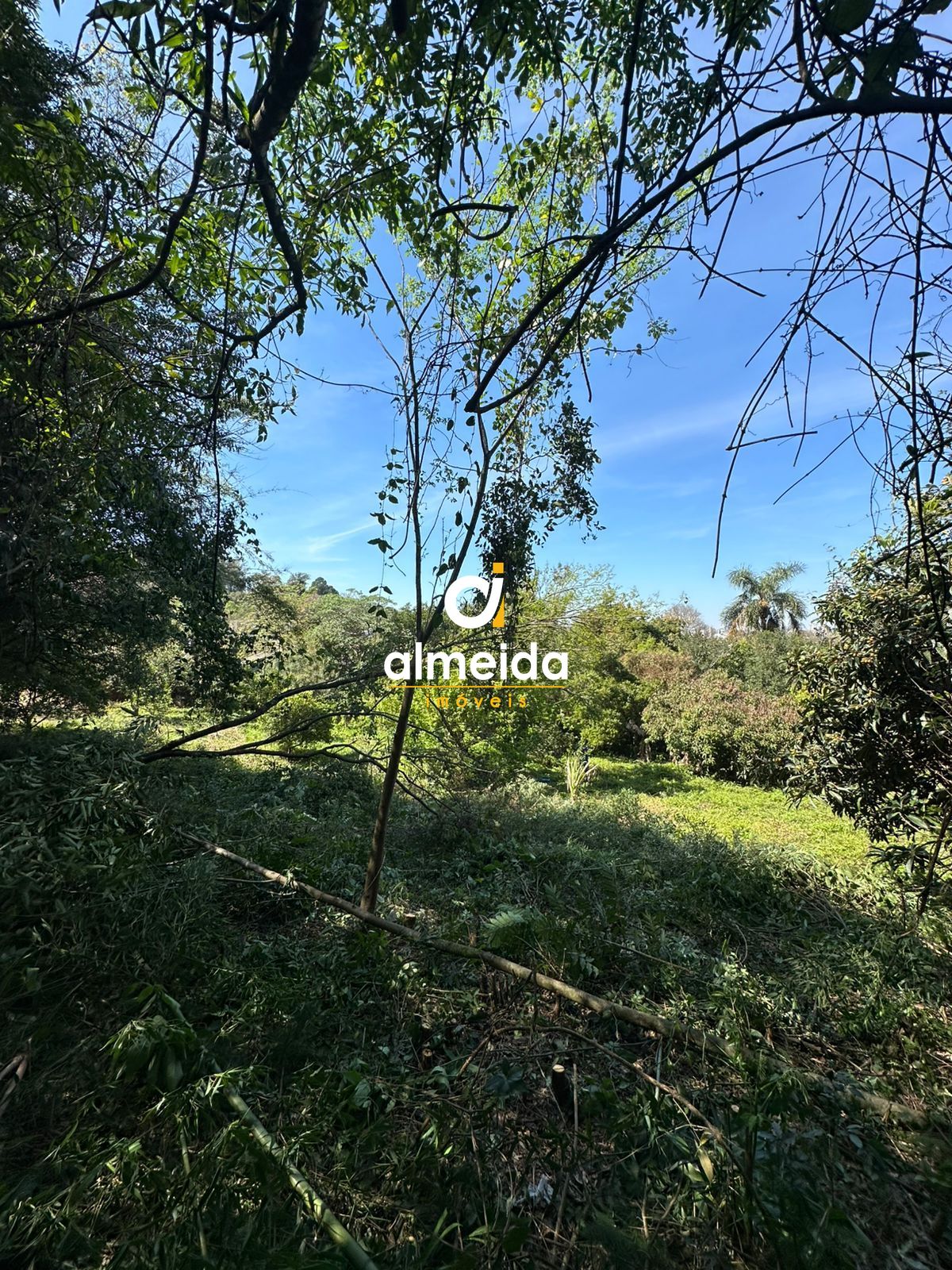 Terreno à venda nossa senhora do perpétuo socorro santa mari