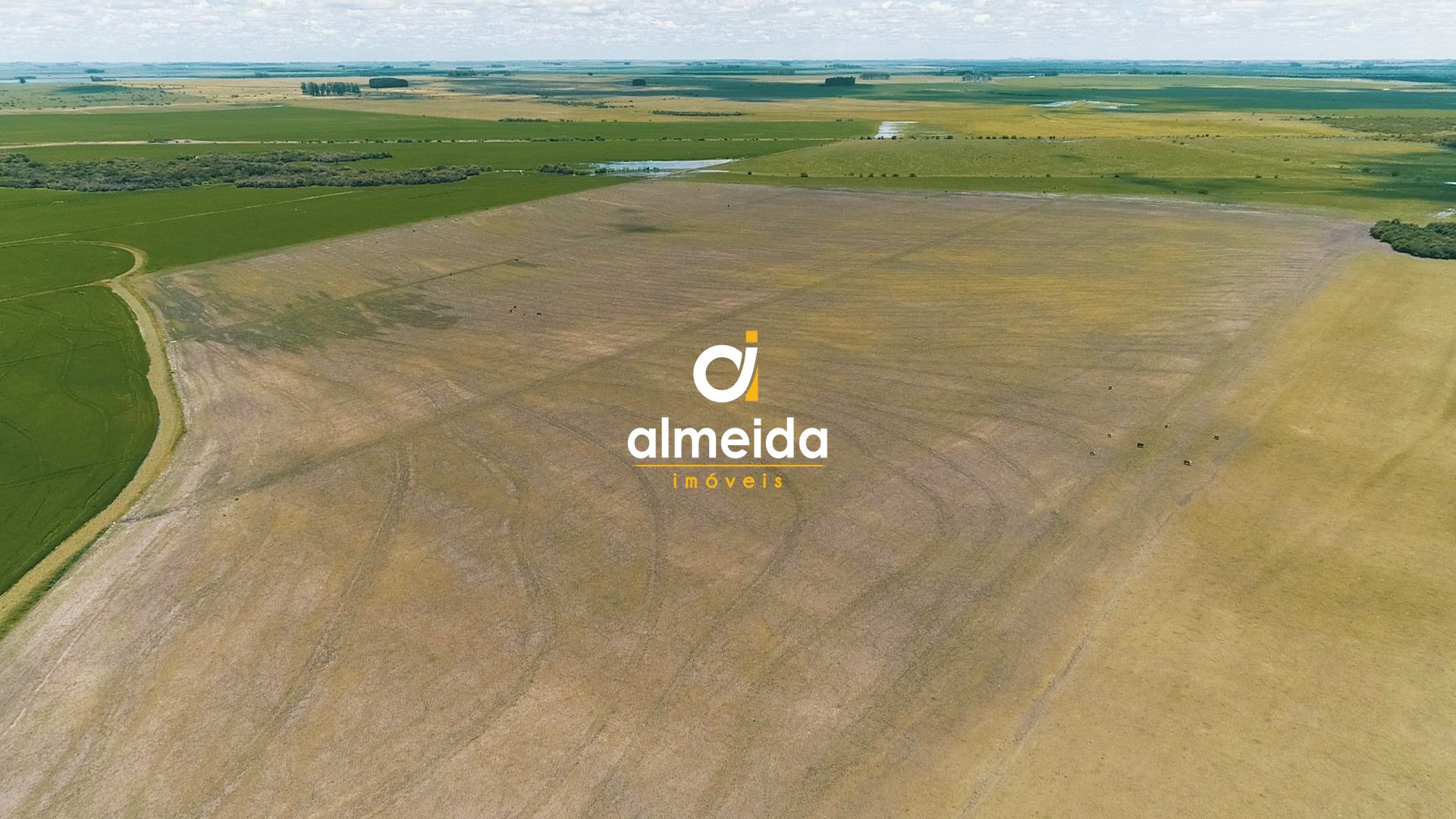 Loteamento e Condomínio à venda com 3 quartos, 45300000000m² - Foto 40