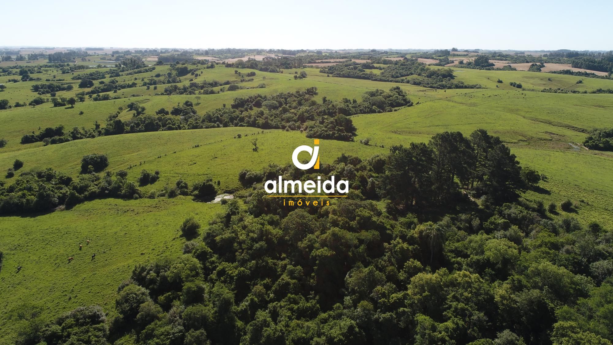 Campo à venda zona rural são sepé/rs