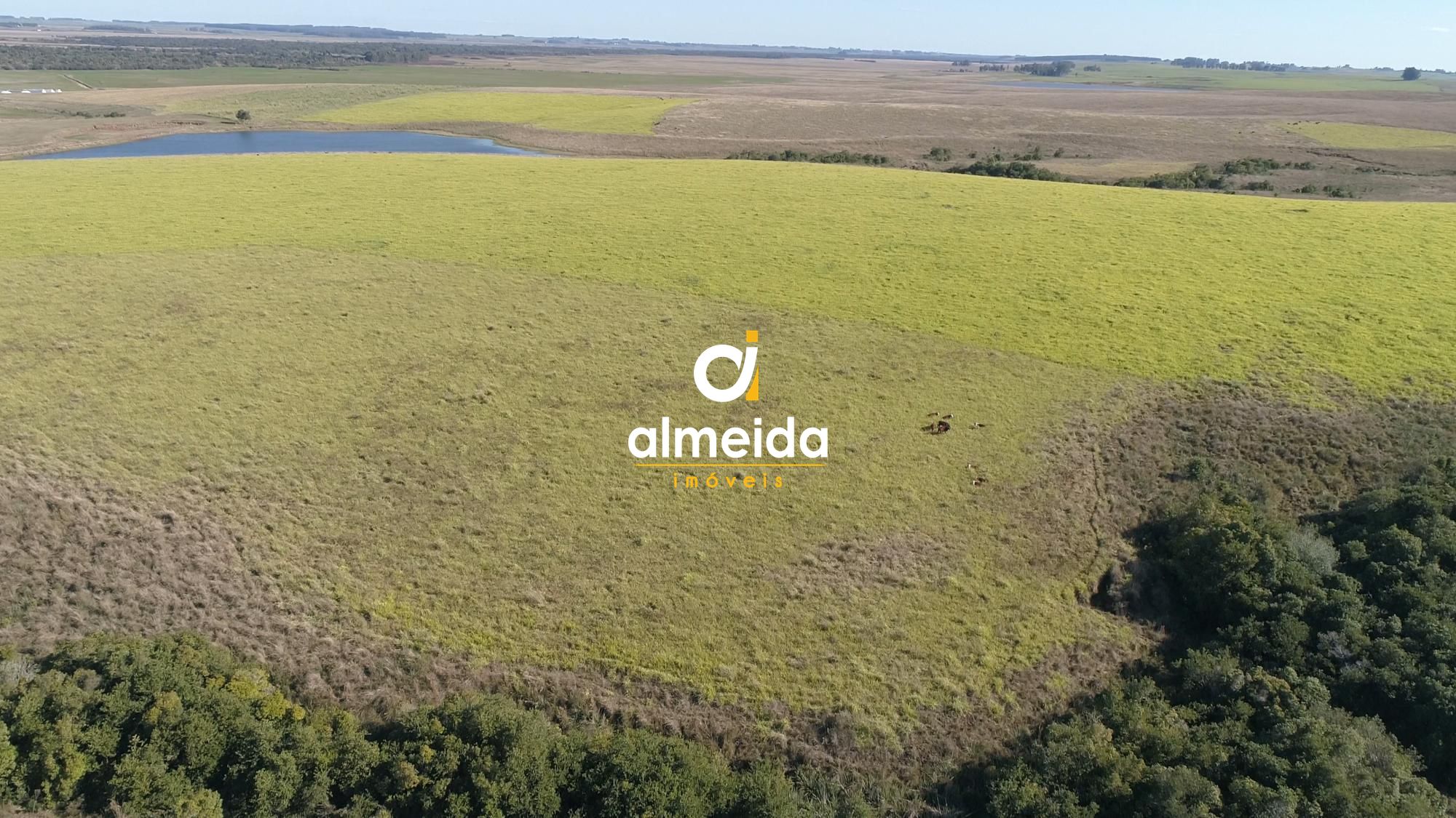 446 ha a venda município de são vicente do sul
