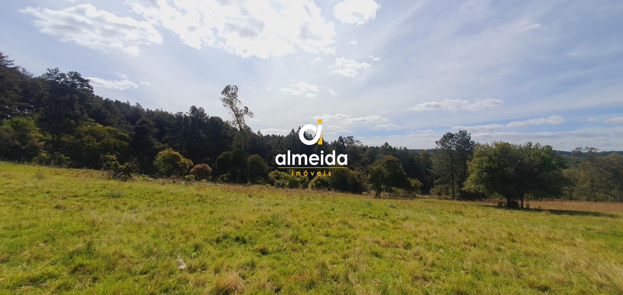 Fazenda à venda com 2 quartos, 1150000000m² - Foto 13