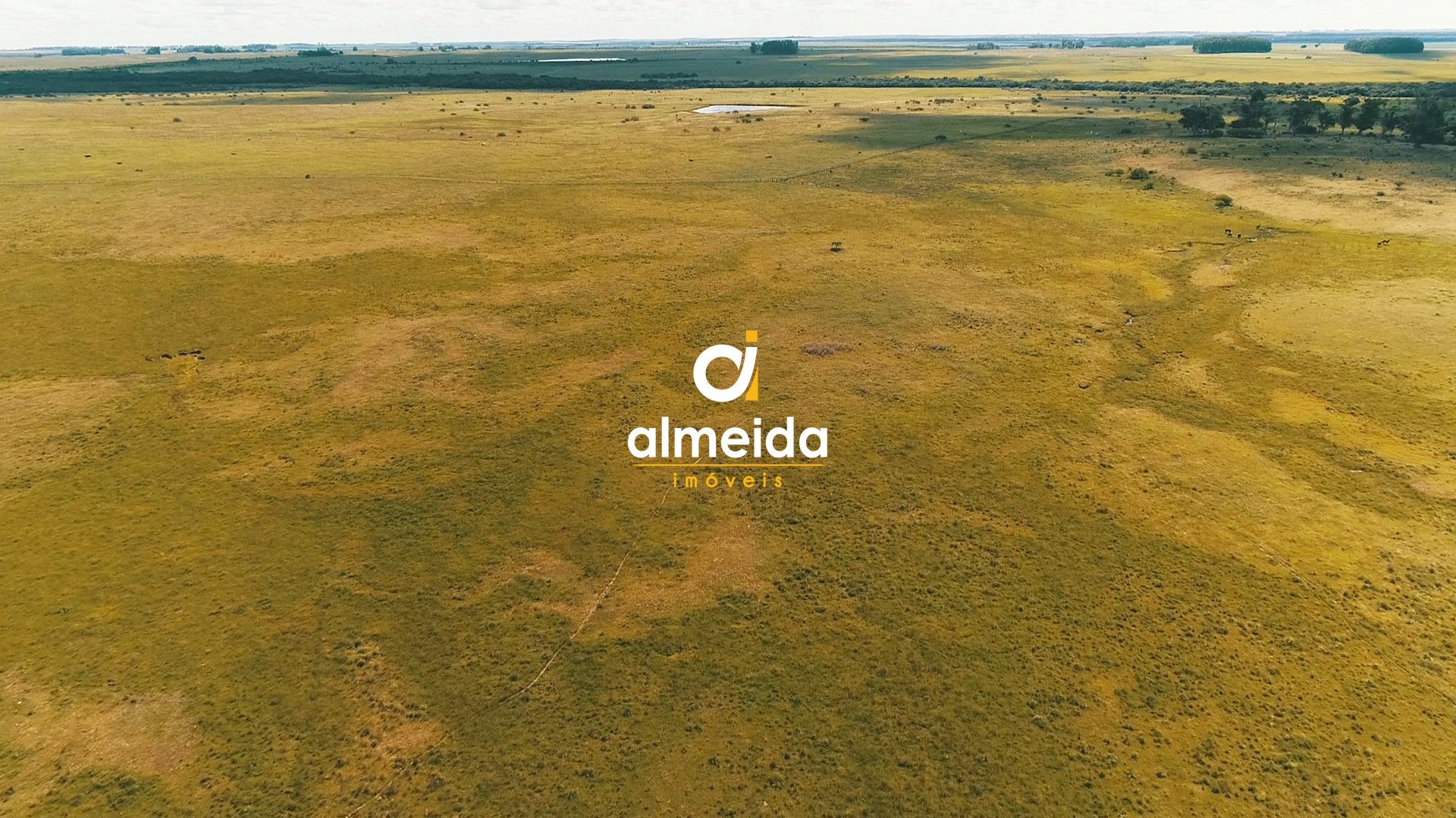 Loteamento e Condomínio à venda, 54700000000m² - Foto 33