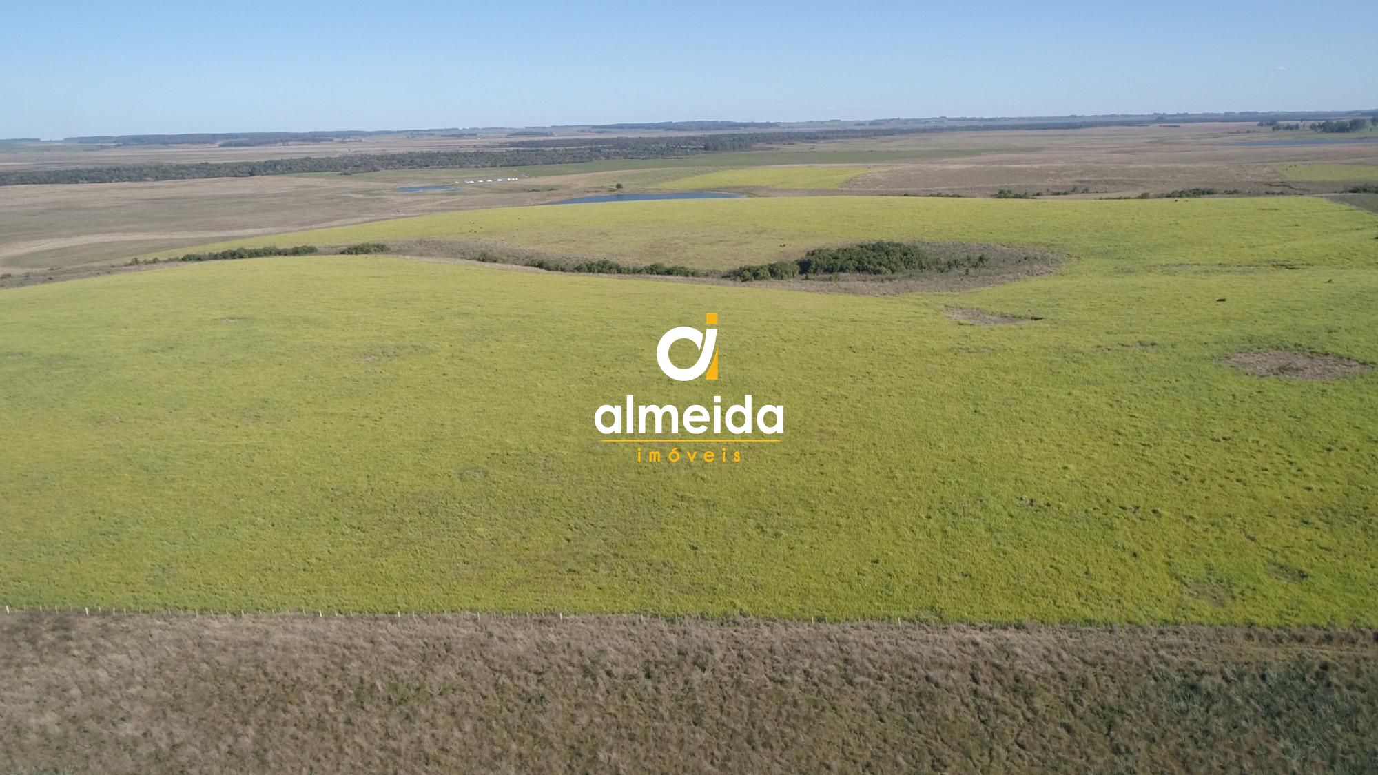 446 ha a venda município de são vicente do sul
