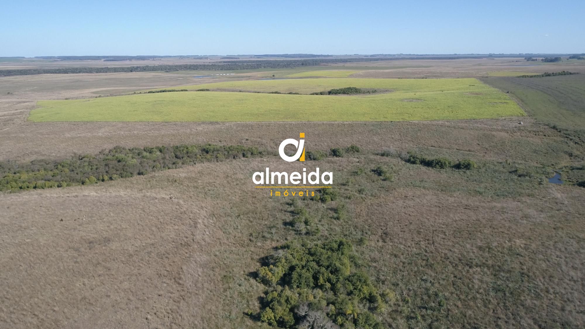 446 ha a venda município de são vicente do sul