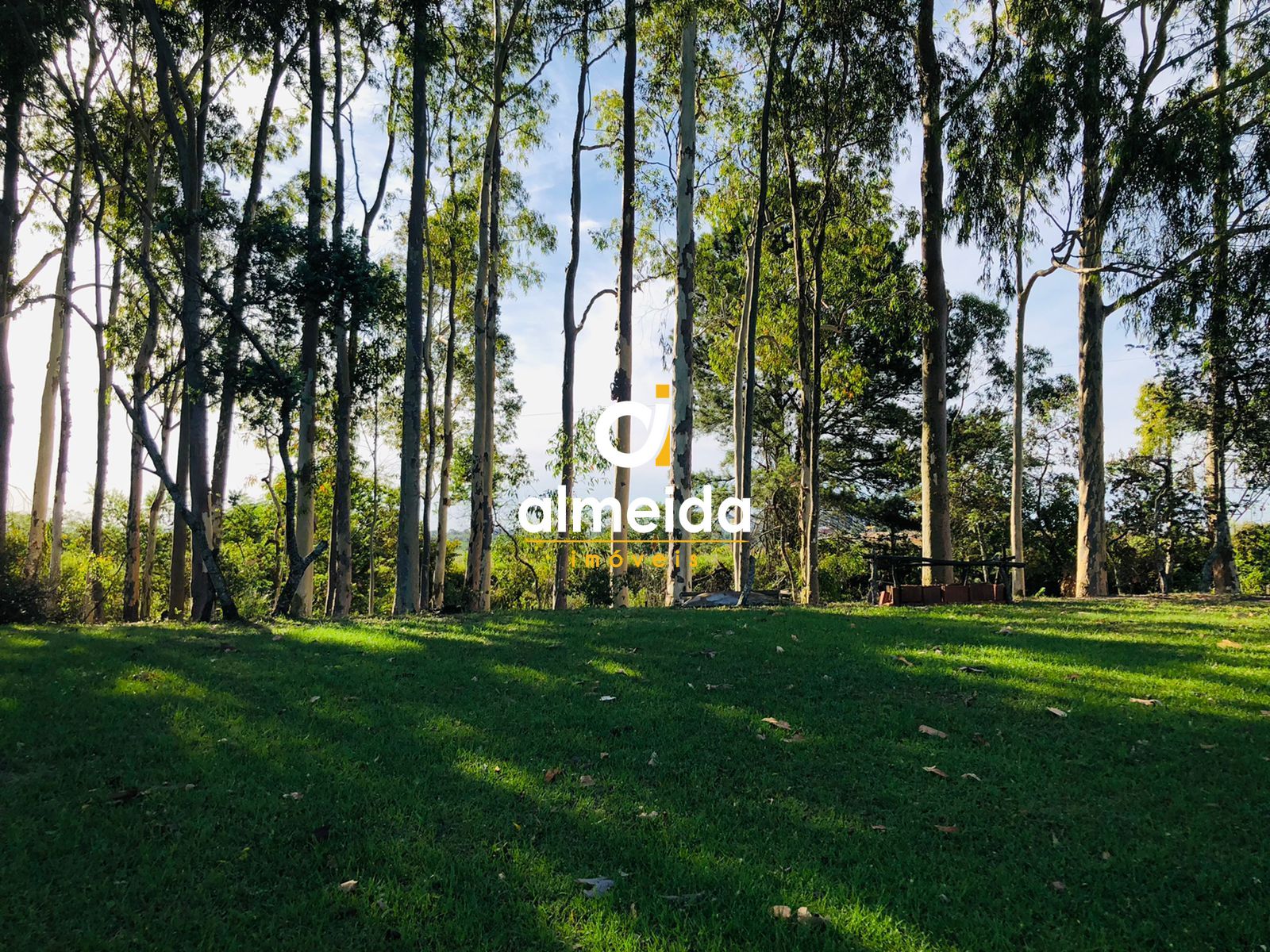 Fazenda à venda com 2 quartos, 200000000m² - Foto 16