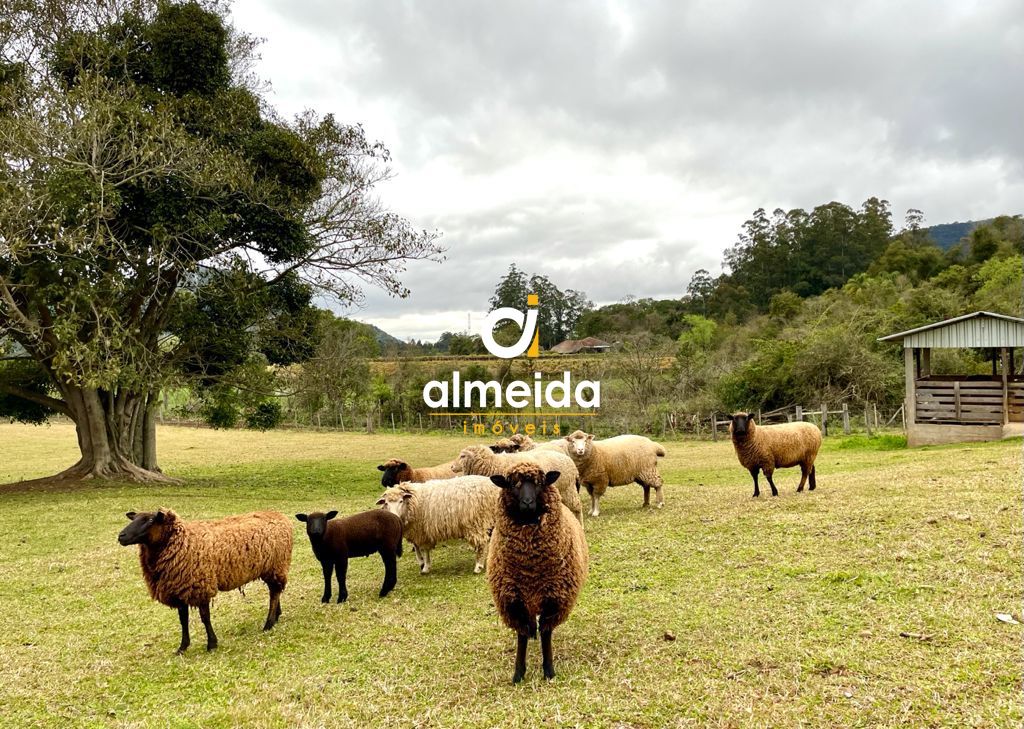 Fazenda à venda com 2 quartos, 3670000000m² - Foto 26