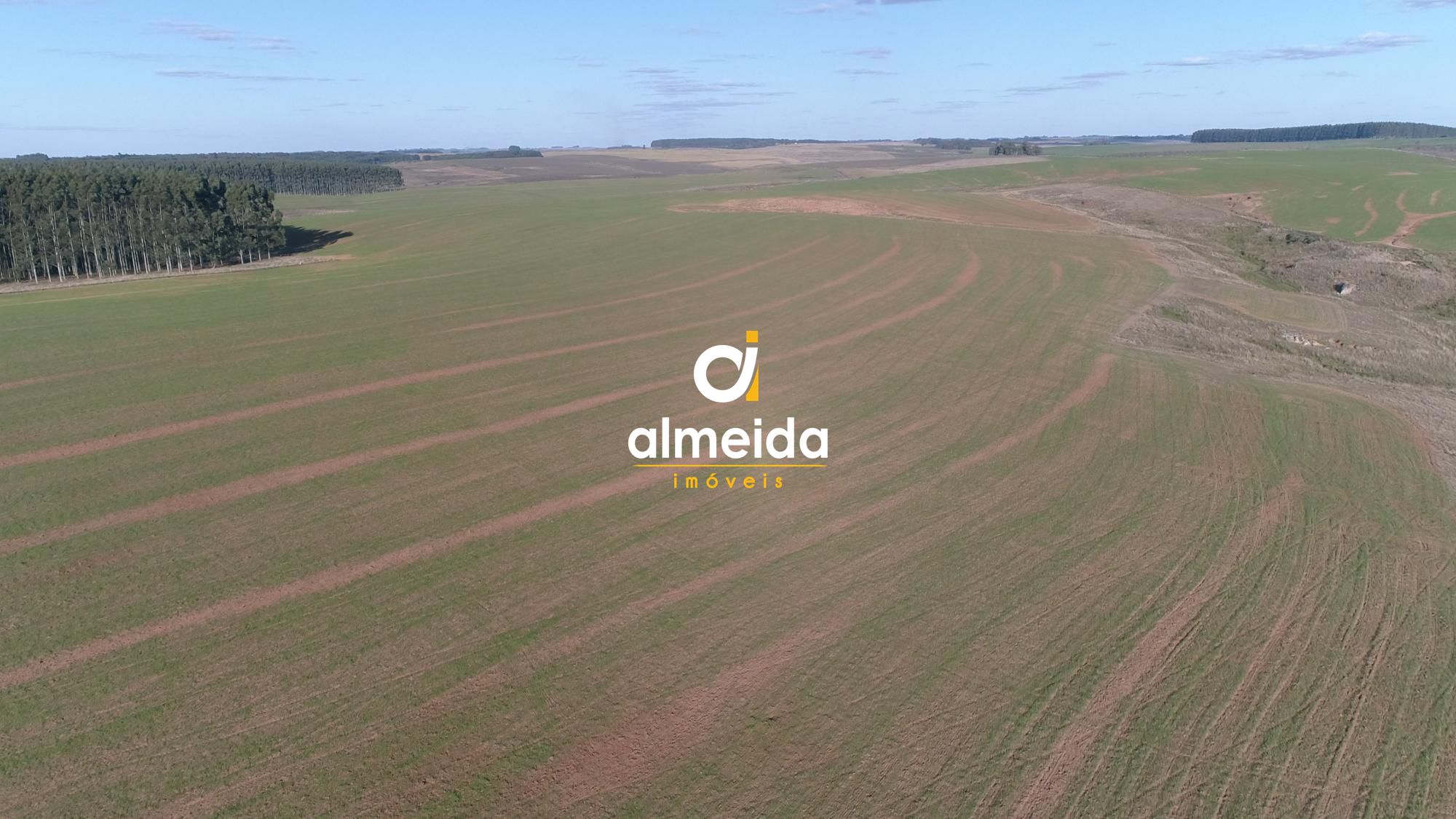 Campo à venda zona rural rosário do sul/rs