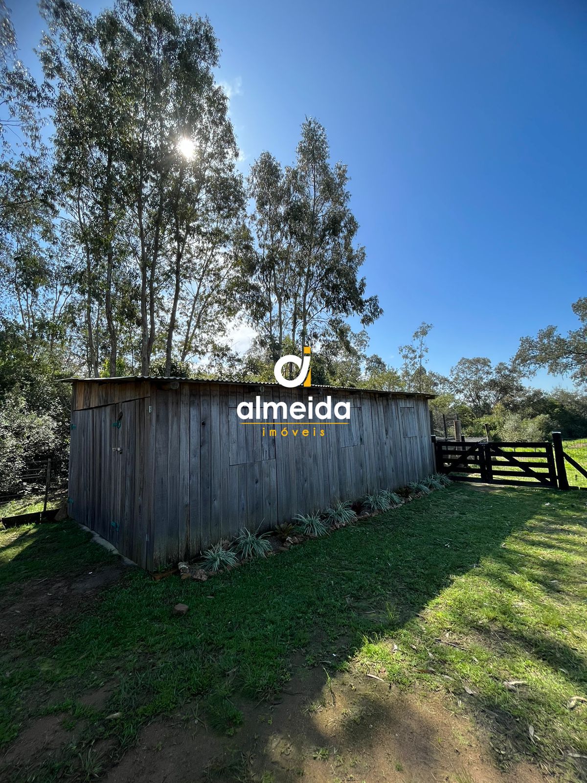 Fazenda à venda com 3 quartos, 200m² - Foto 20