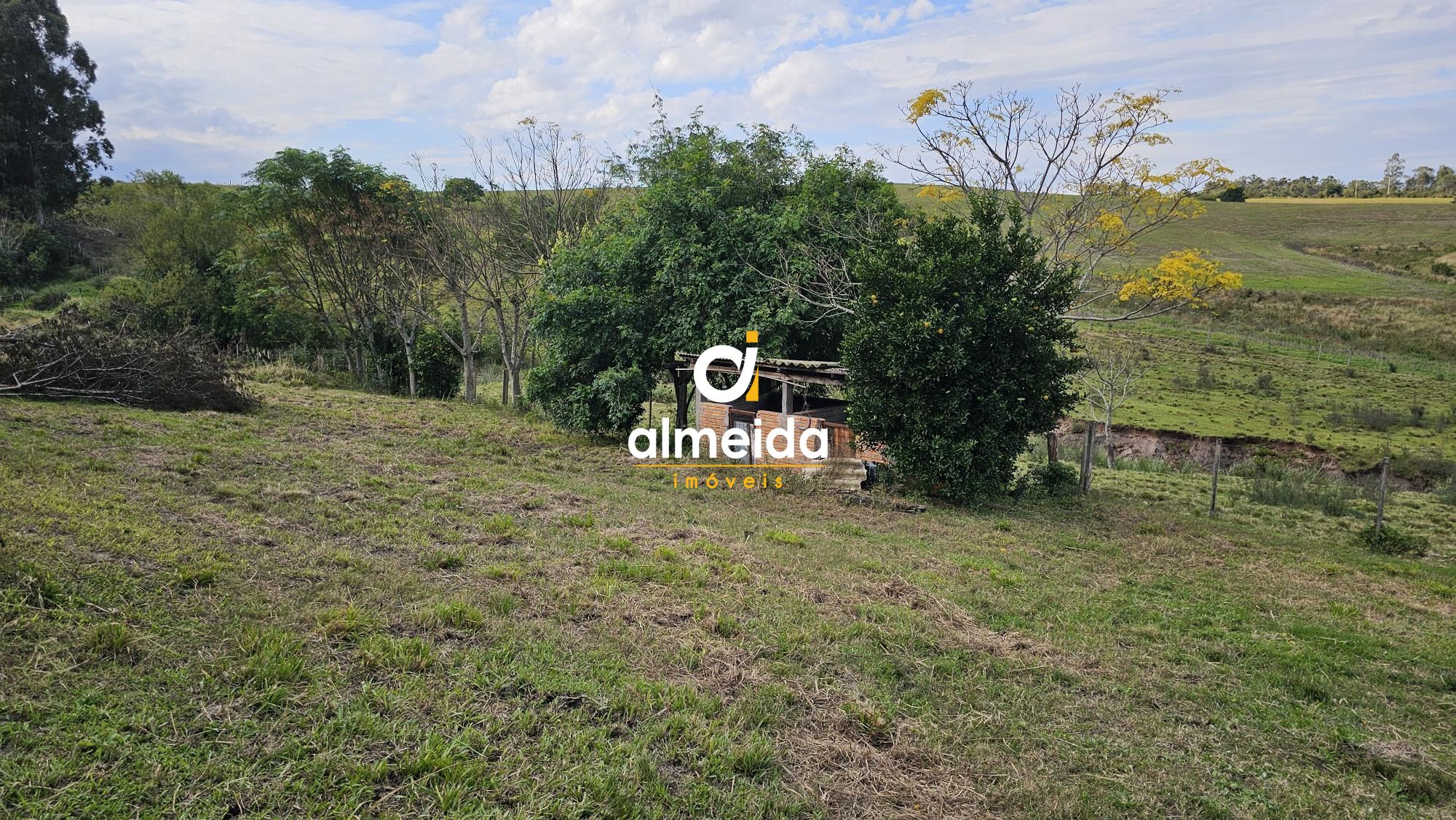 Fazenda à venda com 2 quartos, 120000000m² - Foto 29