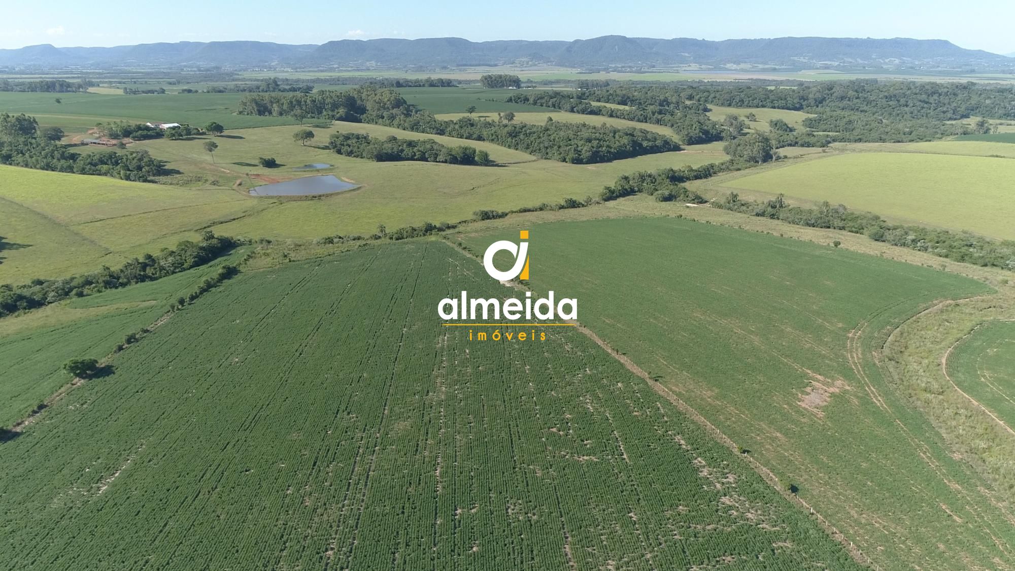 Área agricultável: 29 hectares de lavoura de soja, em plena 