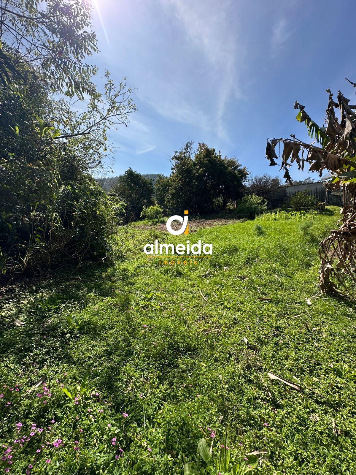 Terreno/Lote à venda, 3.836 m² por R$ 380.000,00 Terreno/Lote à venda, 3.836 m² por R$ 380.000,00